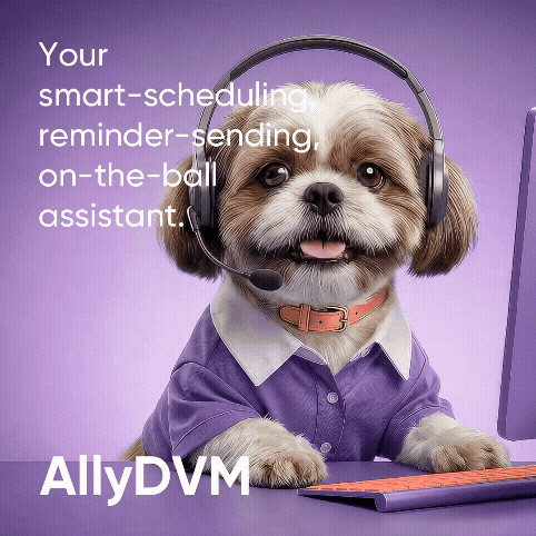 CAL_VMX_TEASER2 (1) (1).gif