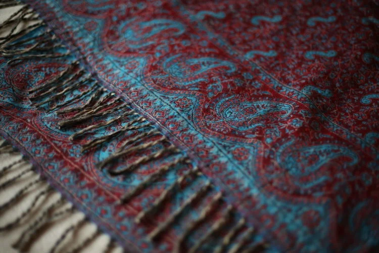 Paisley red blue josh.JPG