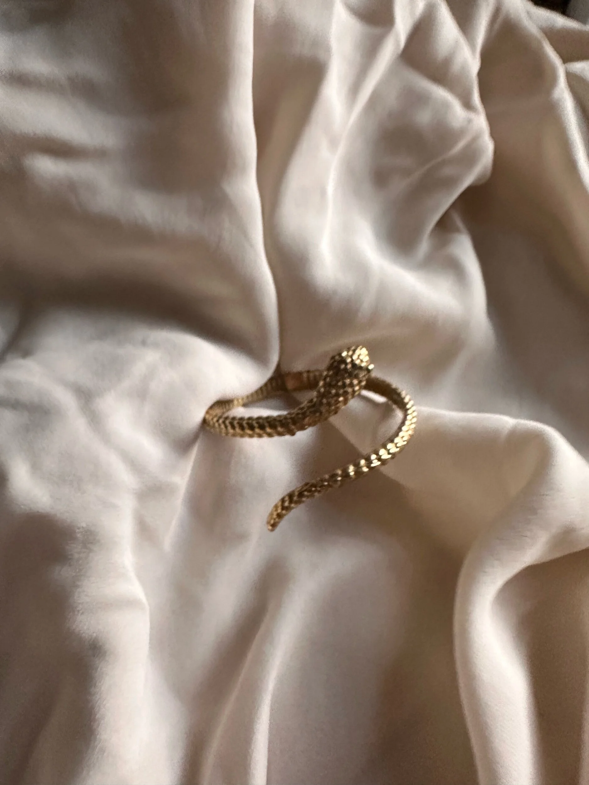 58FB9681-AA6C-44CE-87E0-C6DC4AA21F81