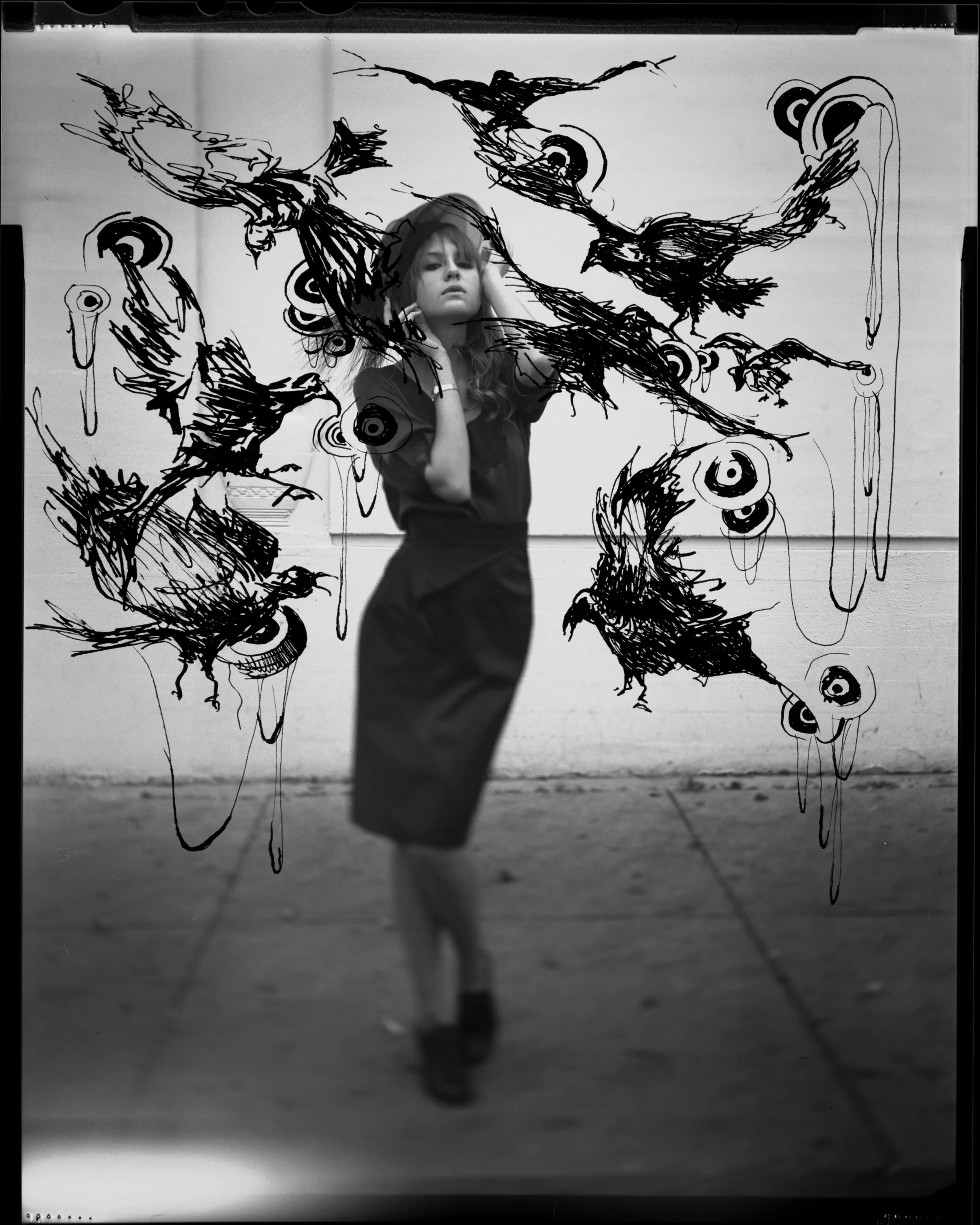 Birds6.jpg