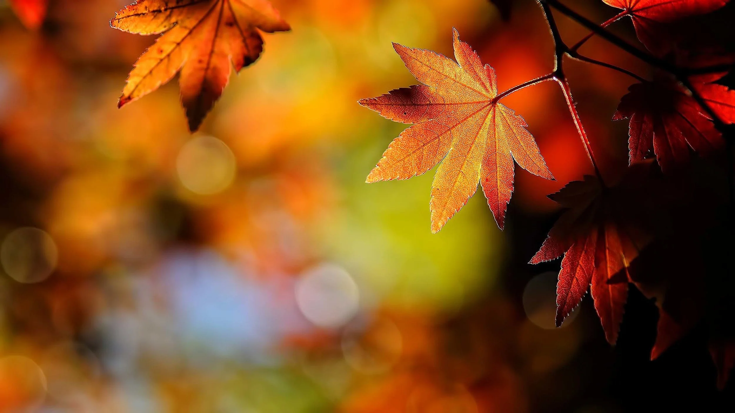 Fall General Assembly