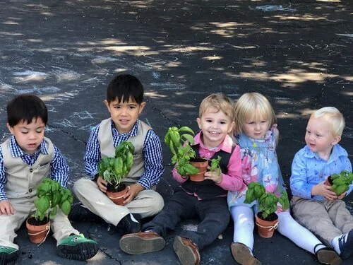 Planting Seedlings Whose Fruit Others Will Enjoy