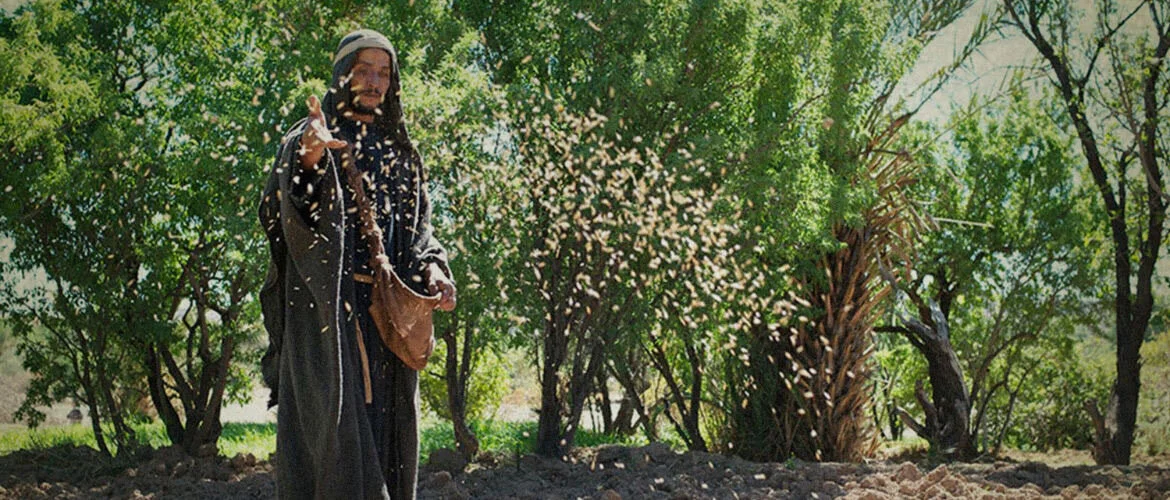 Sunday Divine Liturgy