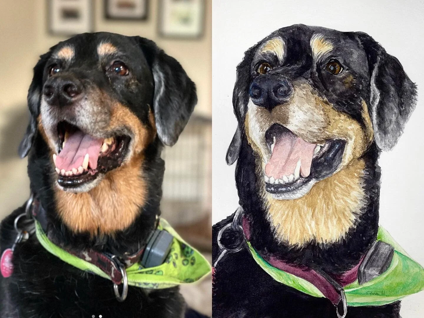 Happy Monday everyone! 
.
#sierrahyercreations #petportrait #handmade #localartist #giftideas #artistsoninstagram #watercolor #painting #dogsofinstagram