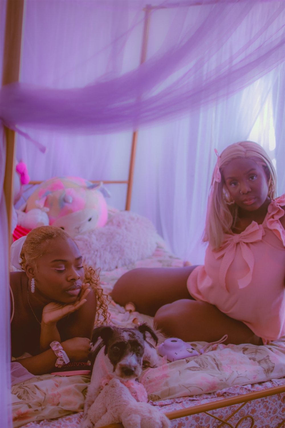 EF8CEF90-7B57-4E83-8960-58EE6ABA87AF - Arimenta Russ.jpeg