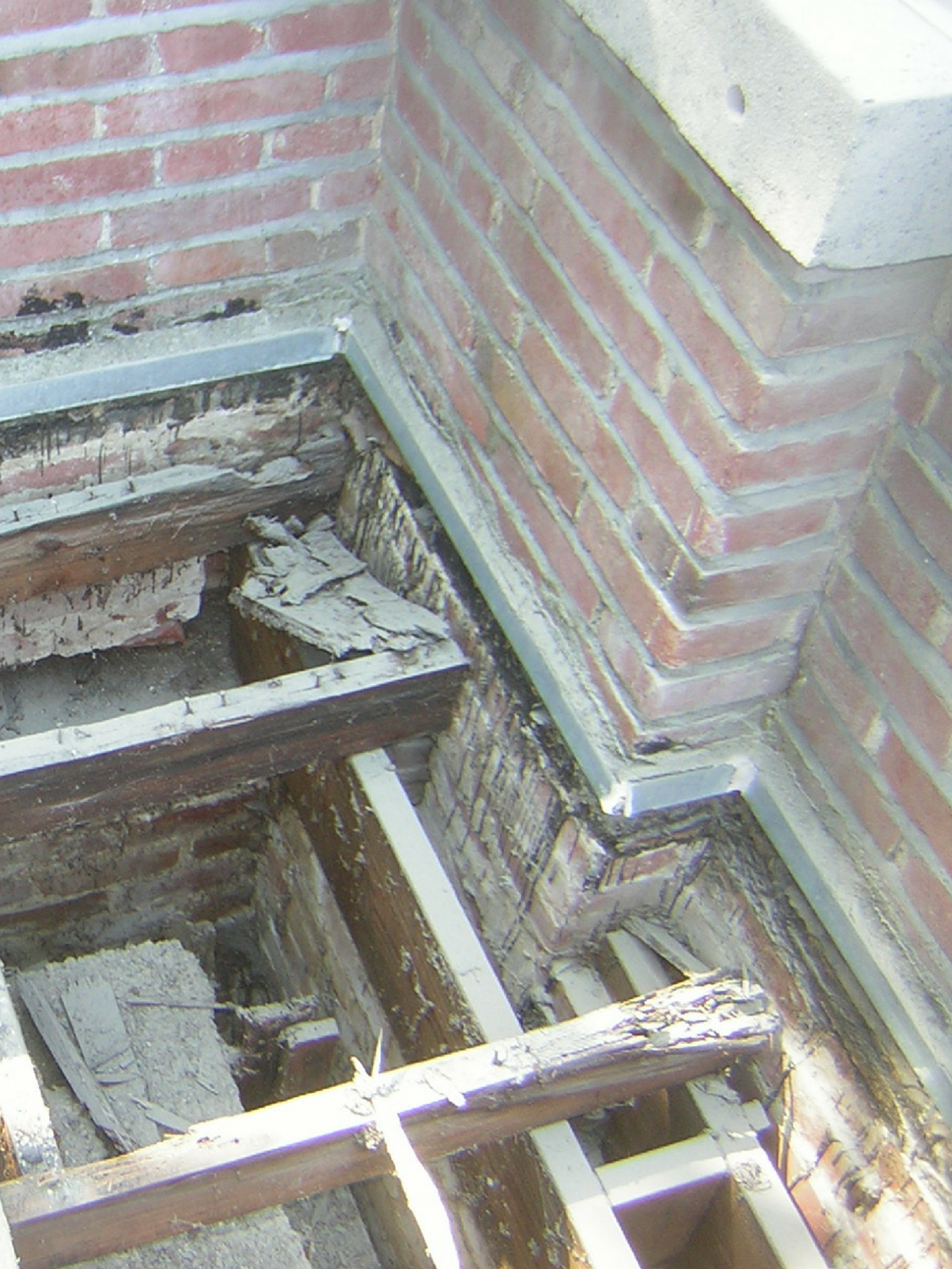 garden roof exposed - featured.png