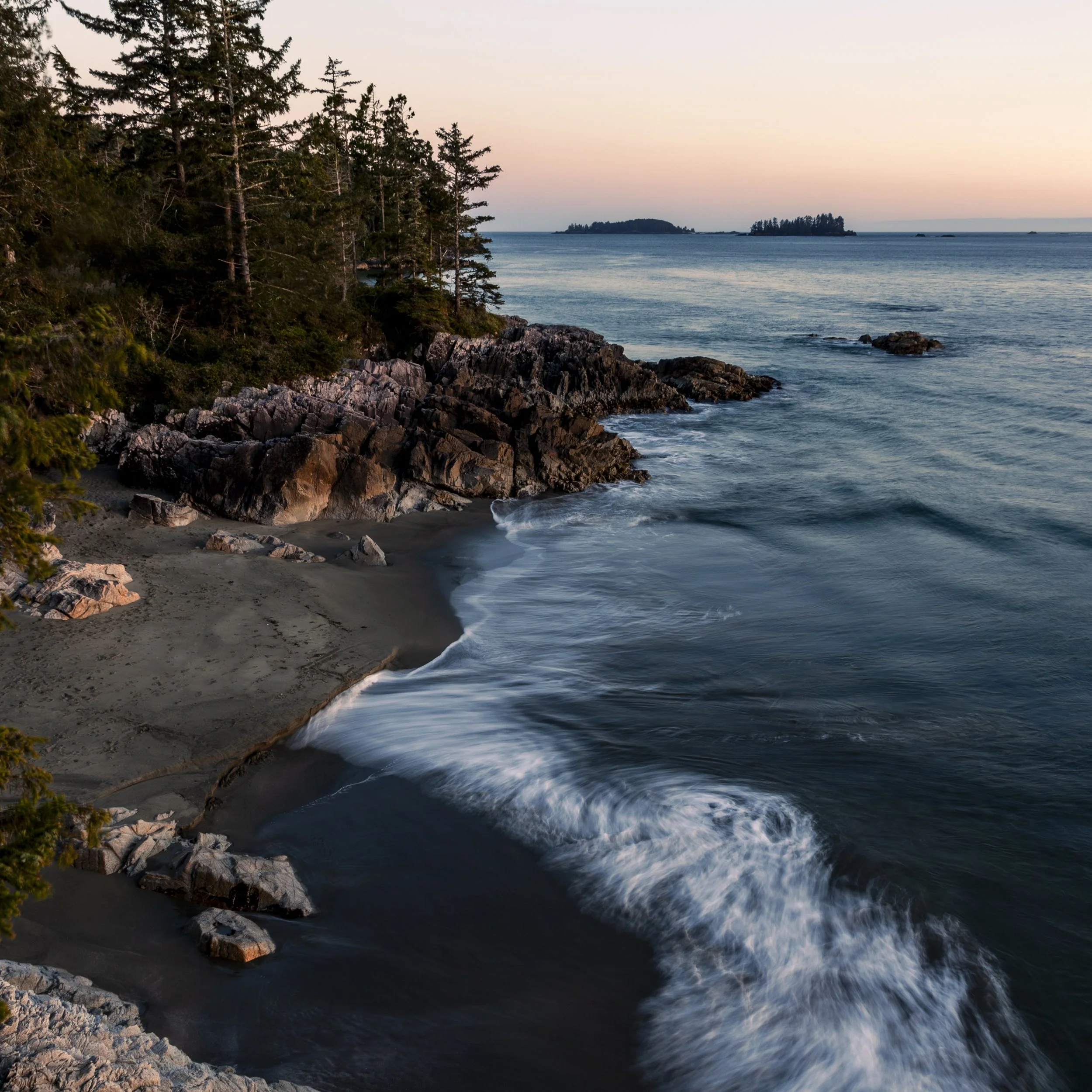 Tofino-1.jpg