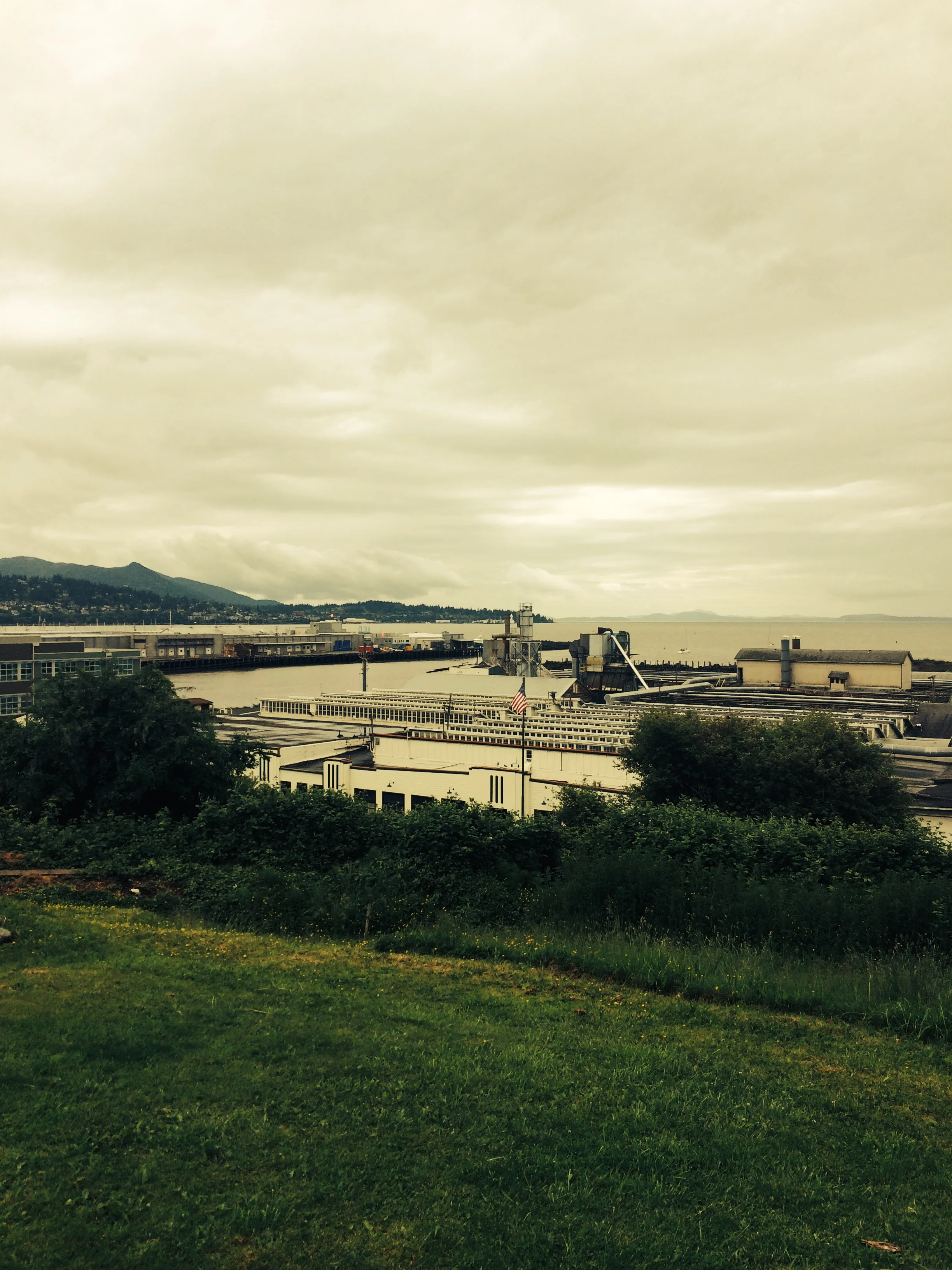 The view to downtown from the site above the Mill, a plywood manufacturing facility