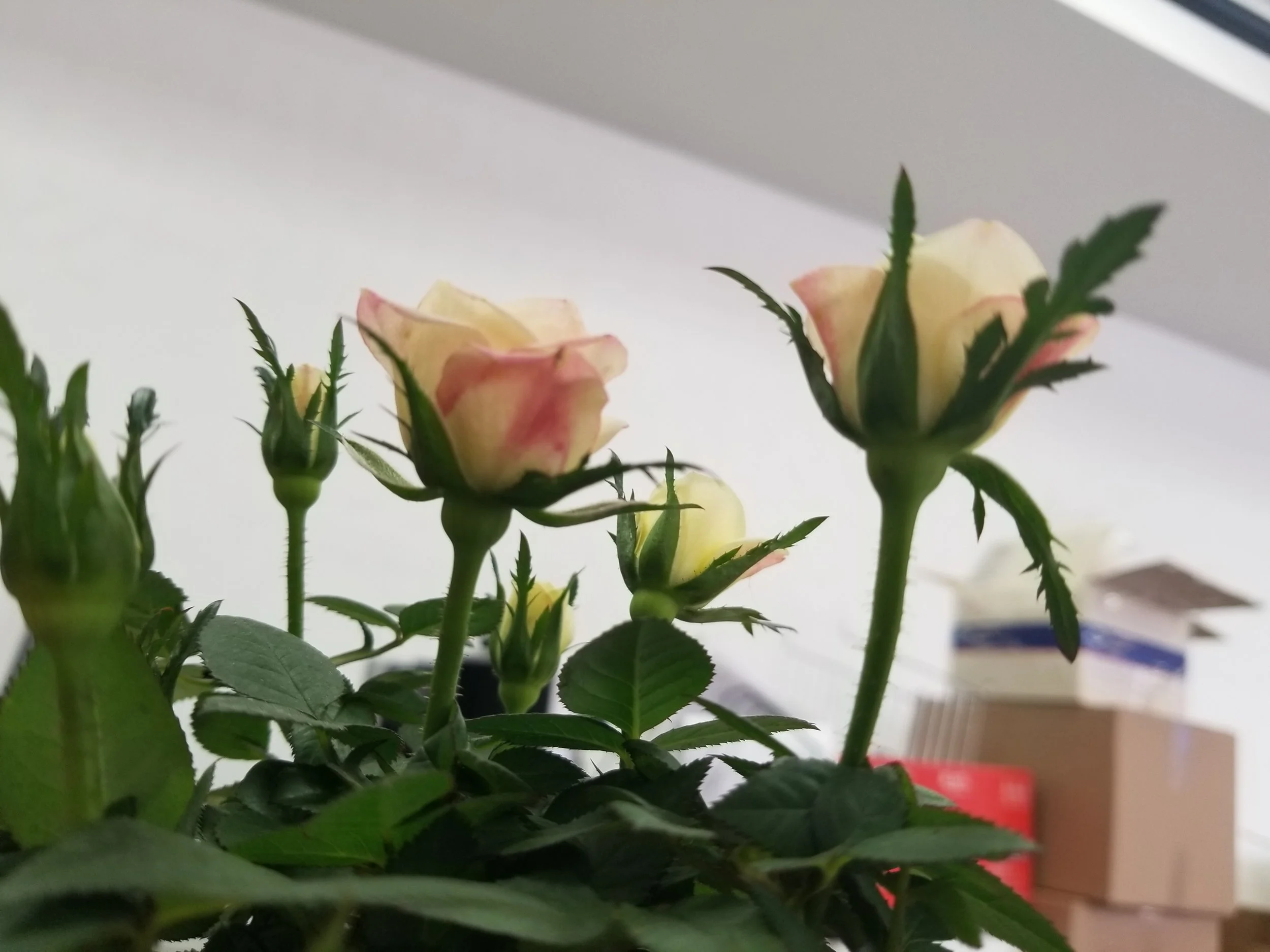 우리에게 소중한 건