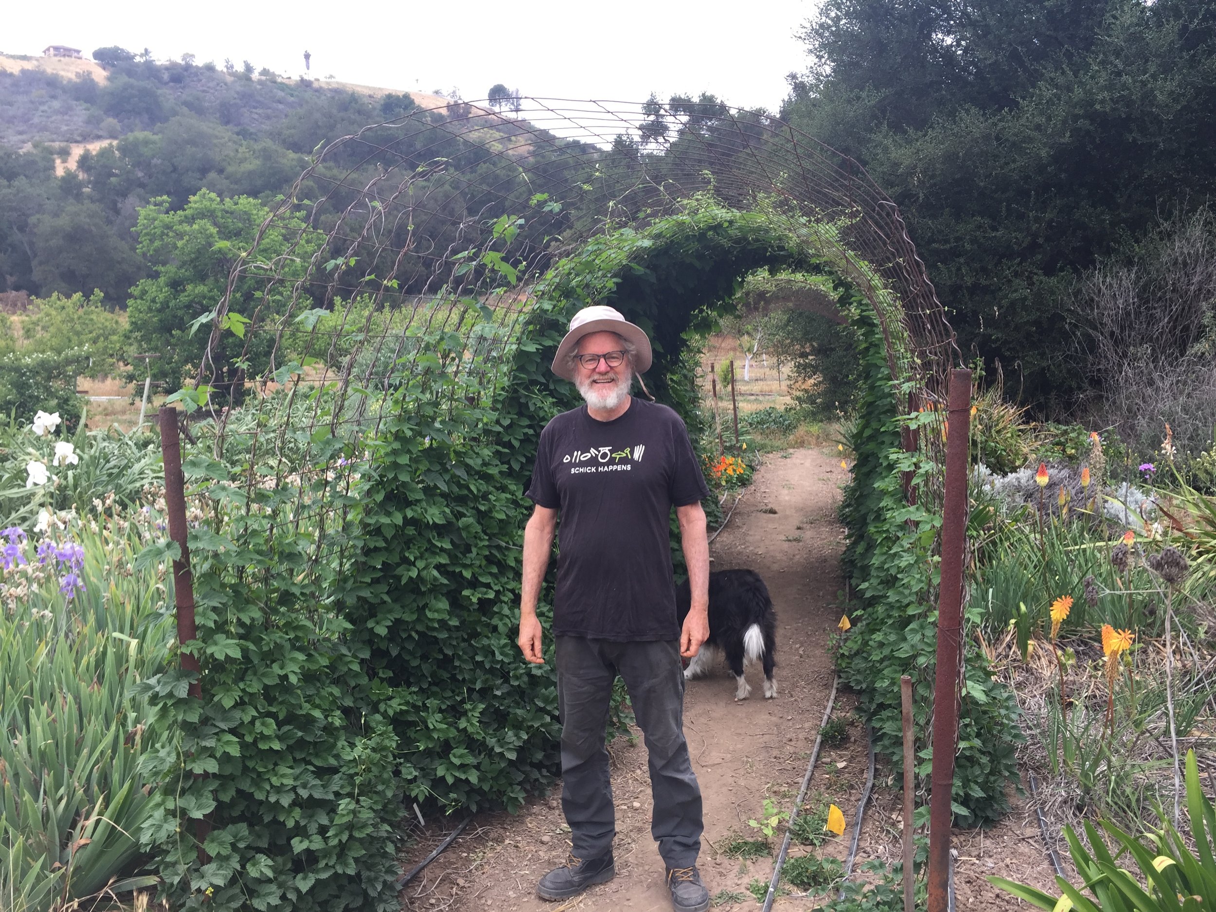 FOUR QUESTIONS WITH ADAM TOLMACH 