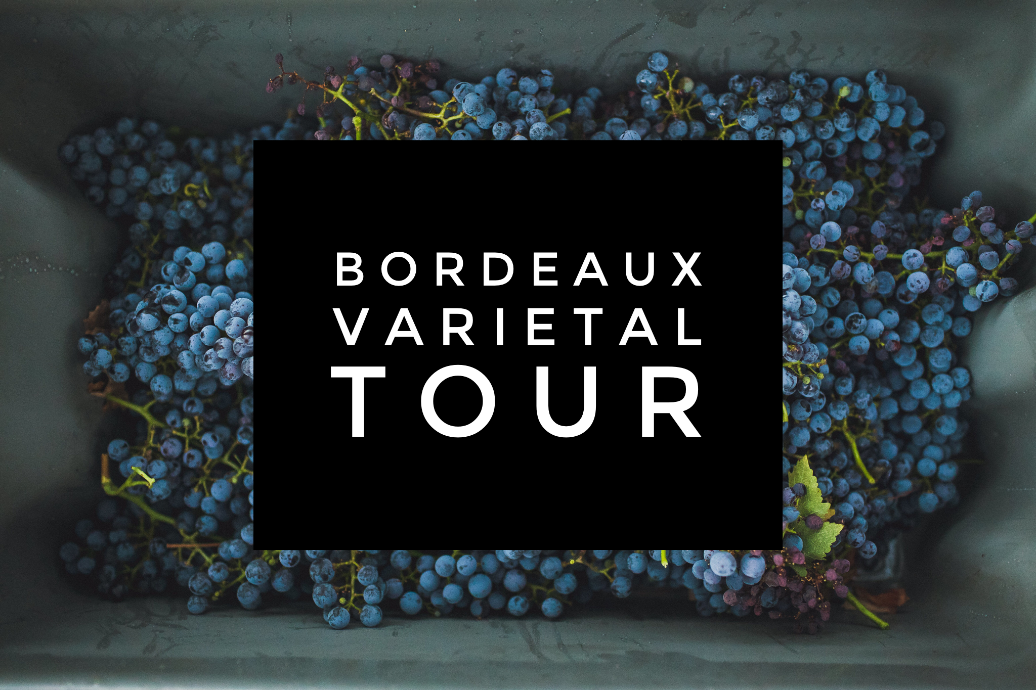 Paso Robles Tech Tour - Cabernet Sauvignon &amp; Bordeaux Focused Tour