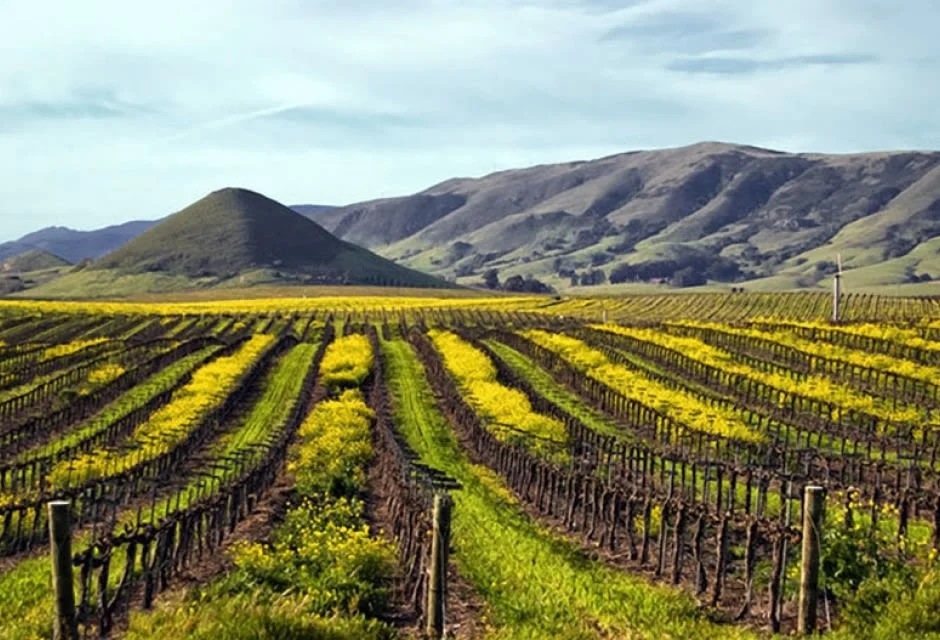 SPOTLIGHT: BREAKAWAY TOURS