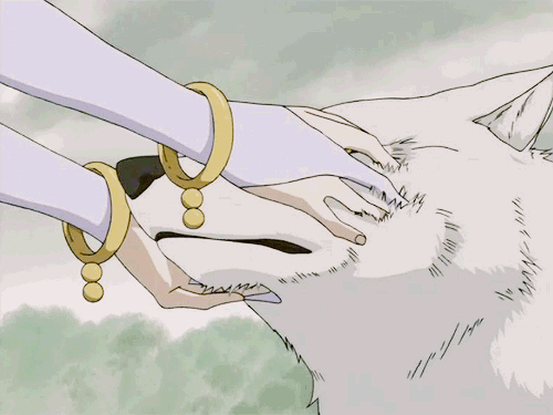tumblr_nczhveEYA01tfrdfxo1_500.gif