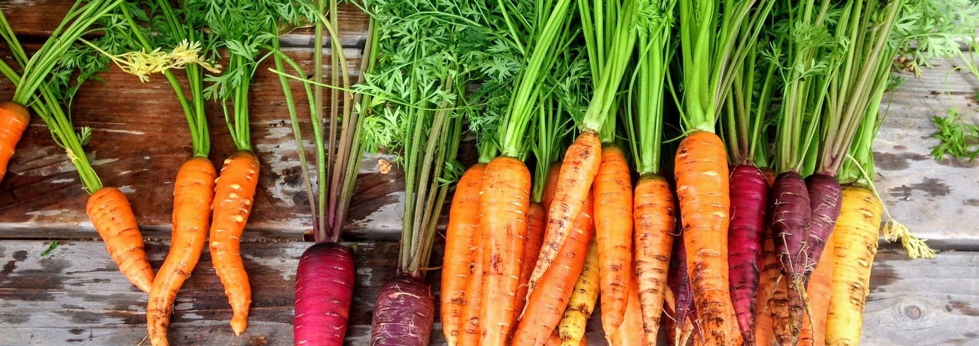 Free Workshop: EcoCooks X City of Delta