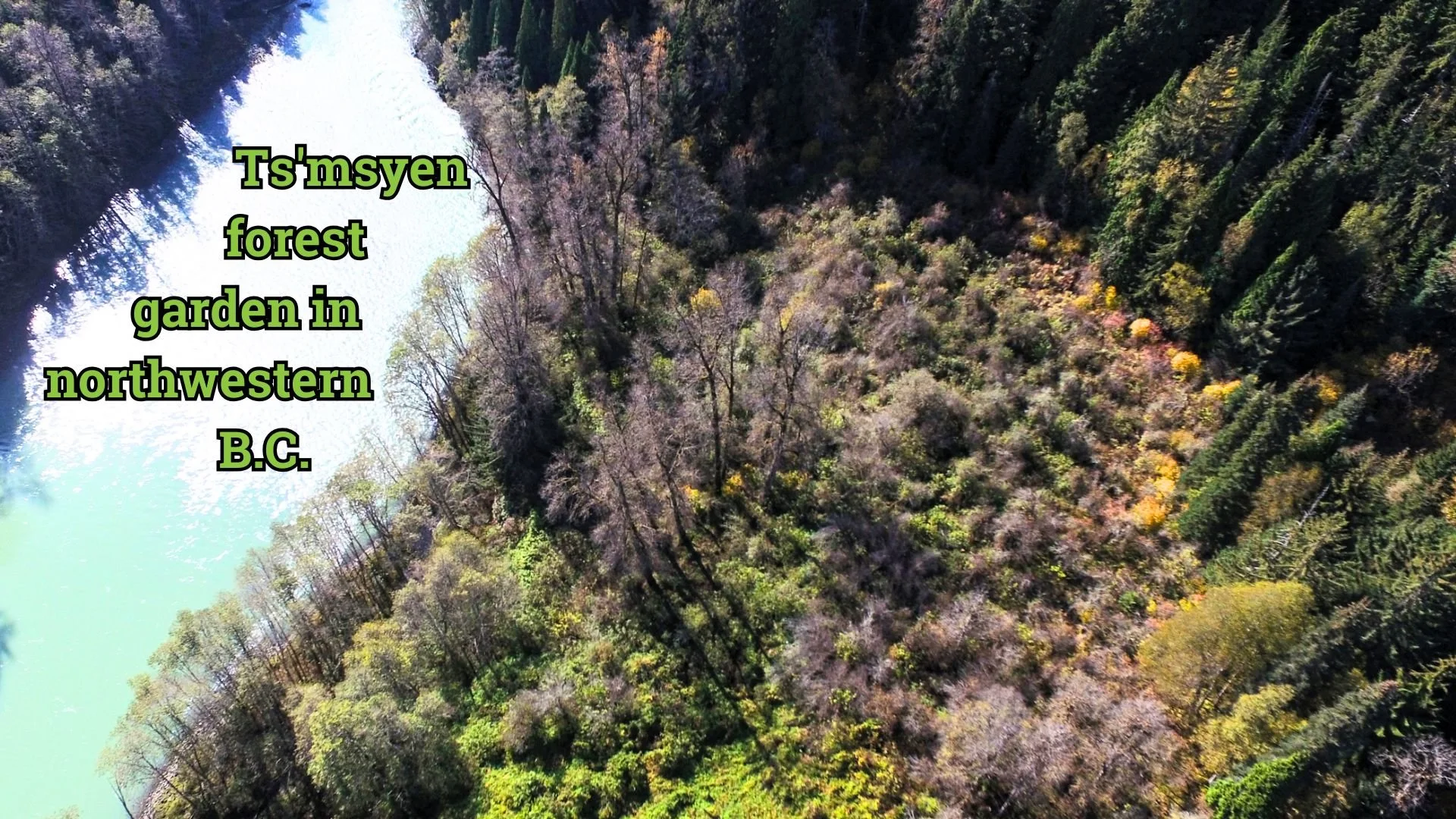 Food Systems Literacy Series, March Edition - Indigenous Food Systems