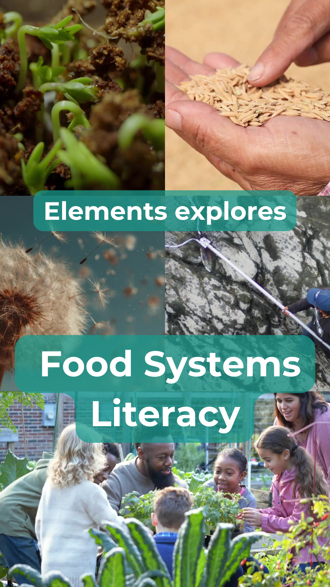 Food Systems Literacy Series, February Edition - What is Food Systems Literacy?