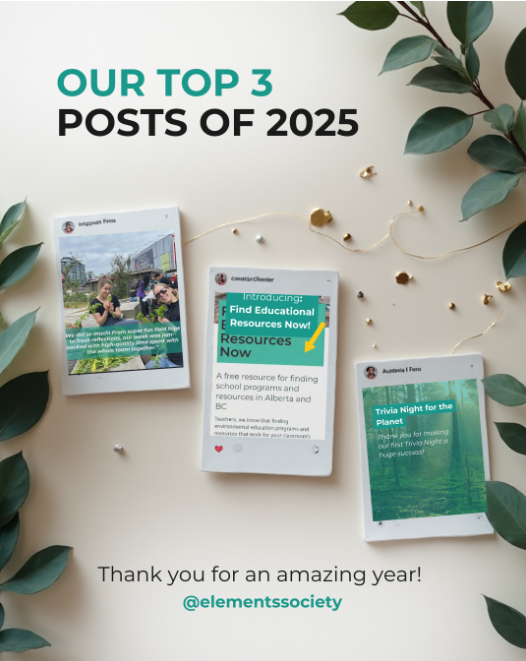 A Fun Look Back: What Our Instagram Growth Says About a Big Year at Elements