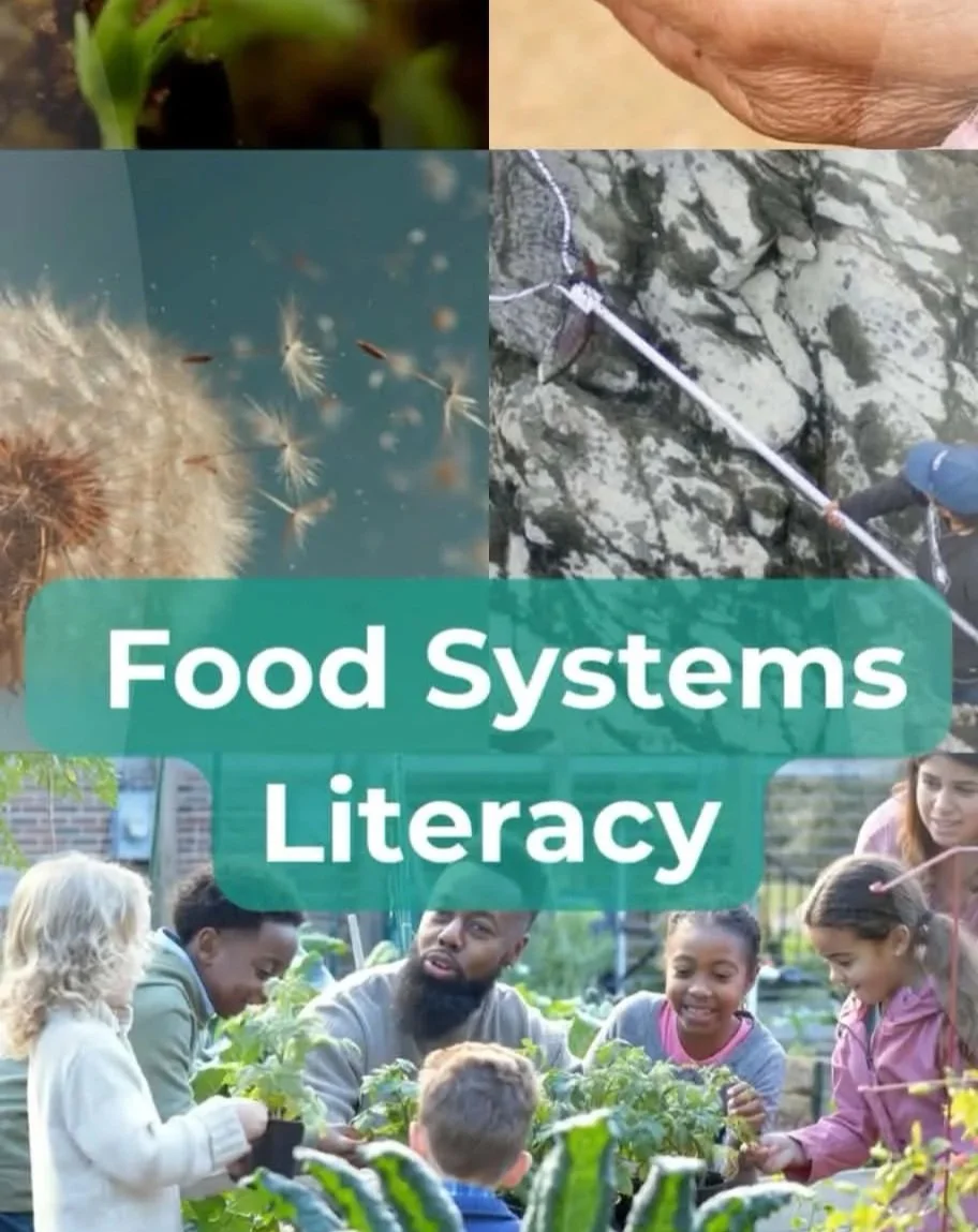 Food Systems Literacy - What are food systems activities?