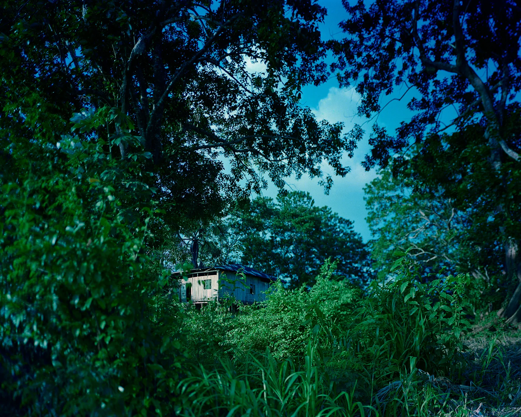 CASA EN PUERTO NARIÑO.jpg