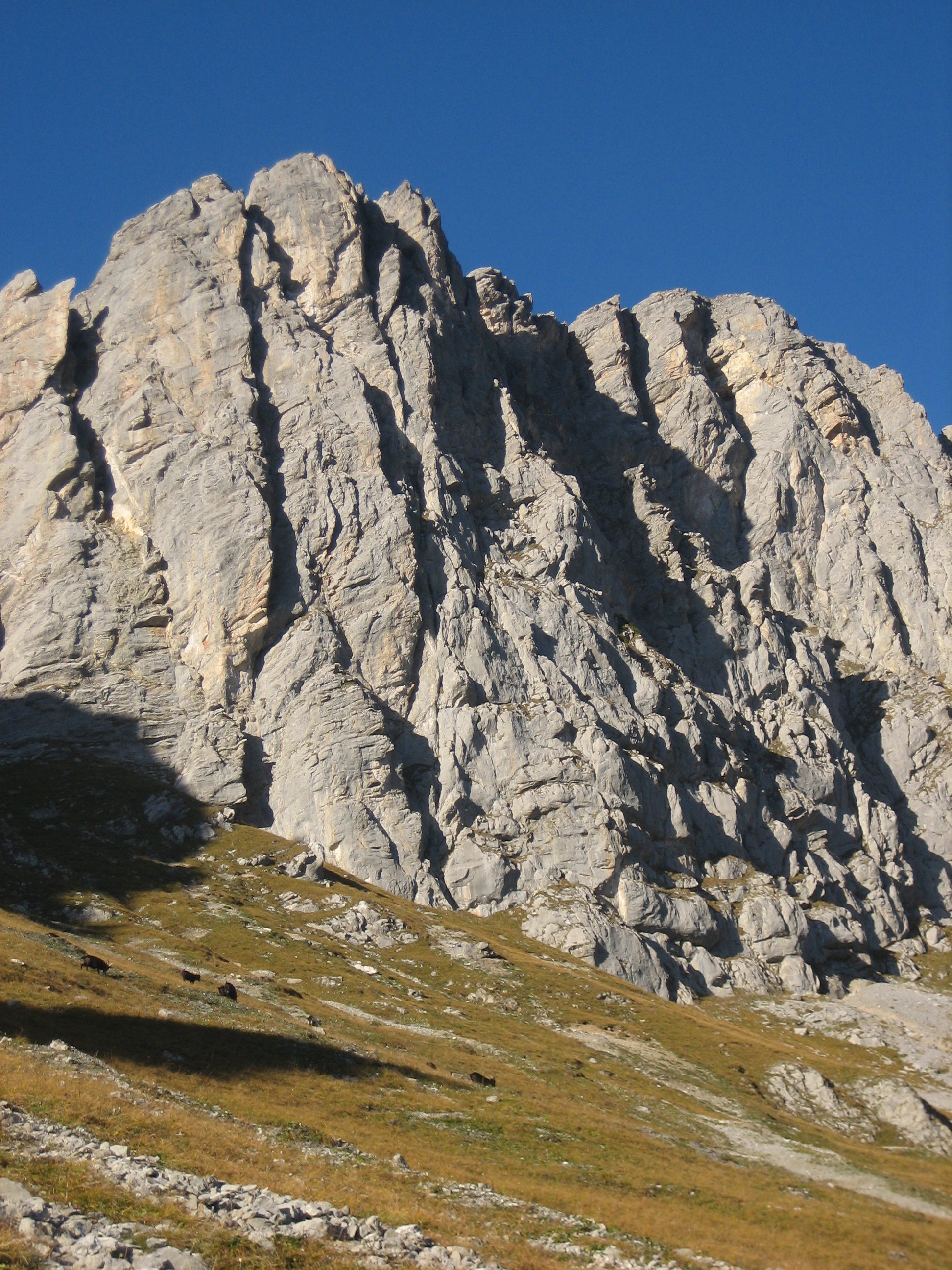2012-10-20 um 17-15-57.JPG