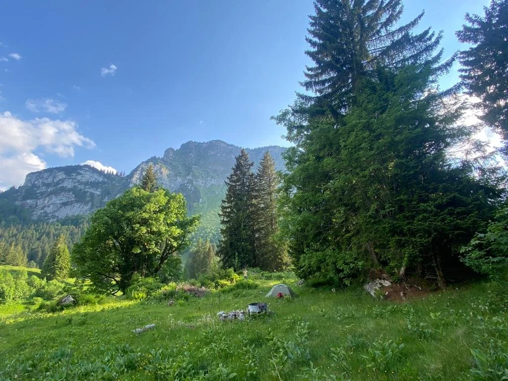 WhatsApp Image 2023-06-11 at 17.23.20.jpeg