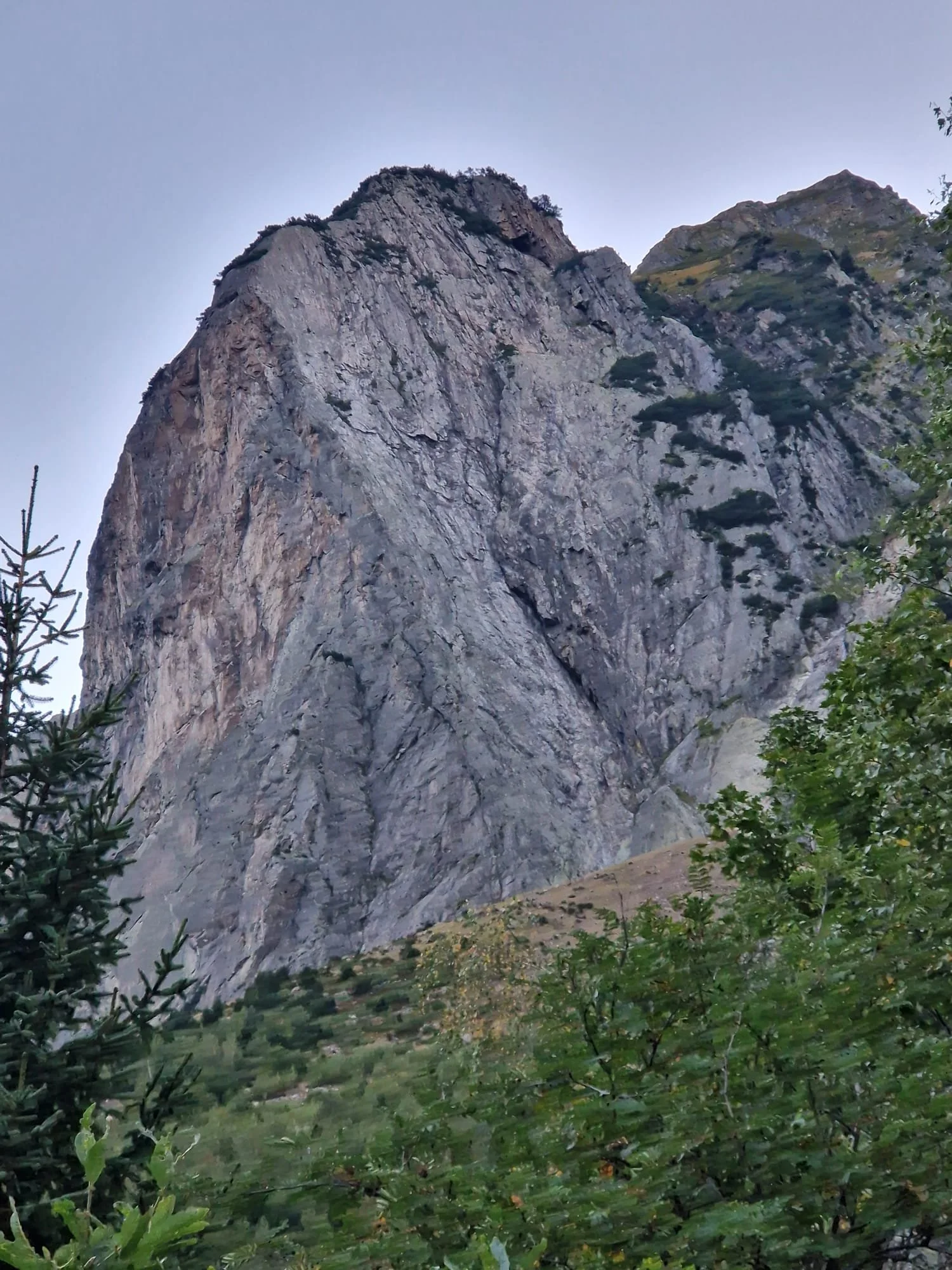 WhatsApp Image 2023-09-27 at 16.51.03.jpeg