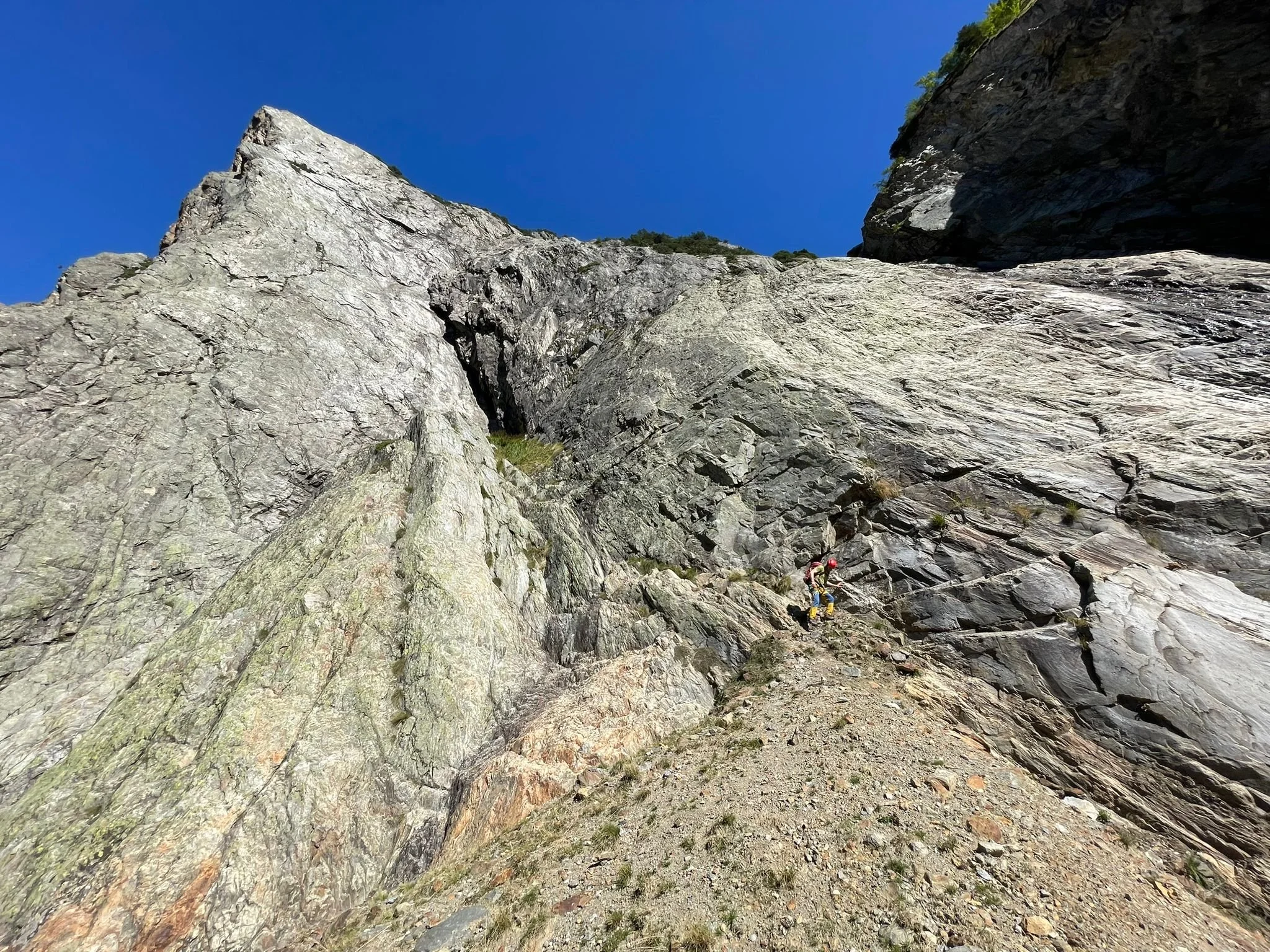 WhatsApp Image 2023-09-27 at 15.37.04.jpeg