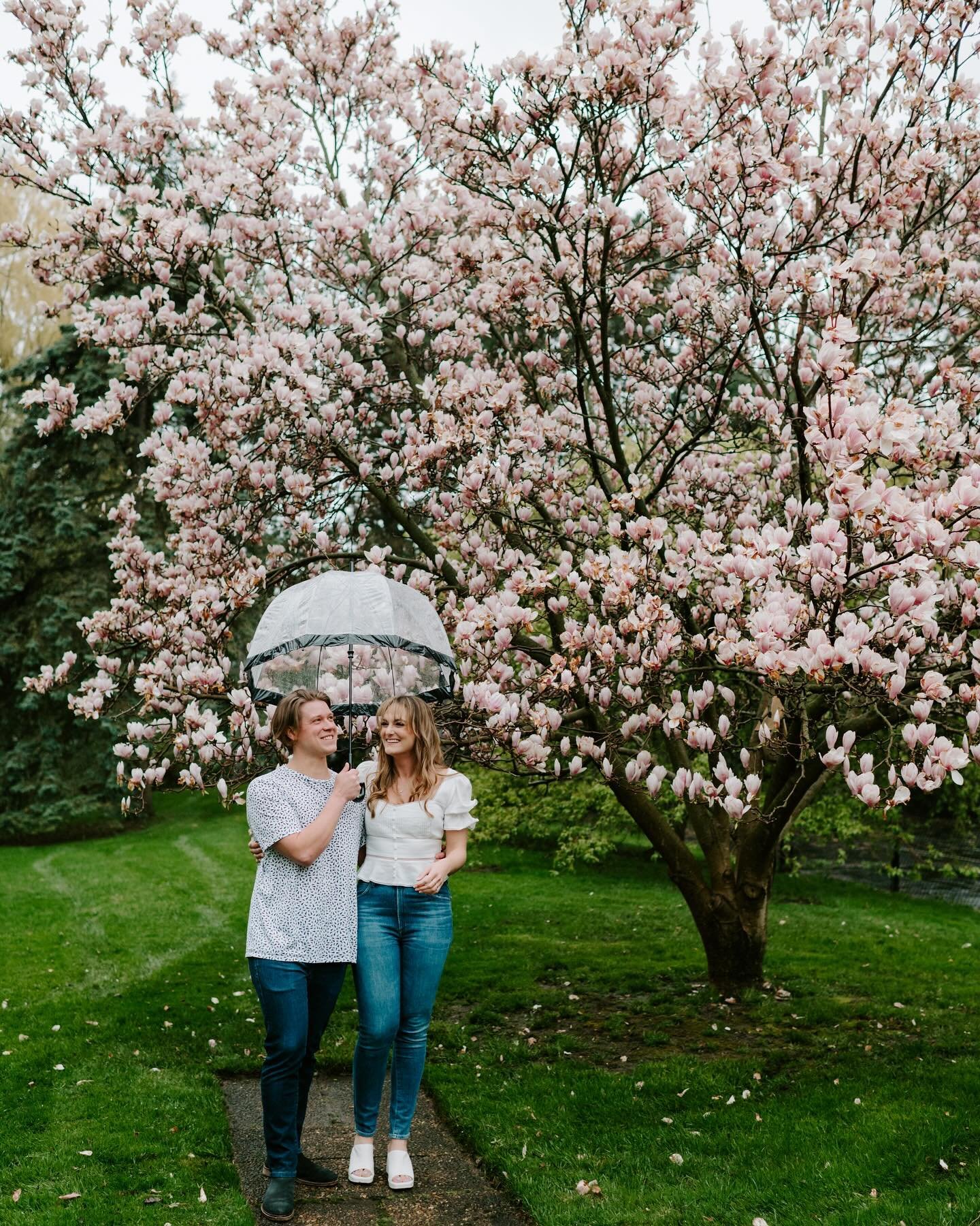 Slowly realizing that spring is becoming a favourite of mine 😍

#giuliamoltisantiphotography #torontoengagementphotographer #torontoengagementshoot #gtaweddingphotographer #torontoweddingphotographer