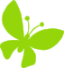 butterfly.png
