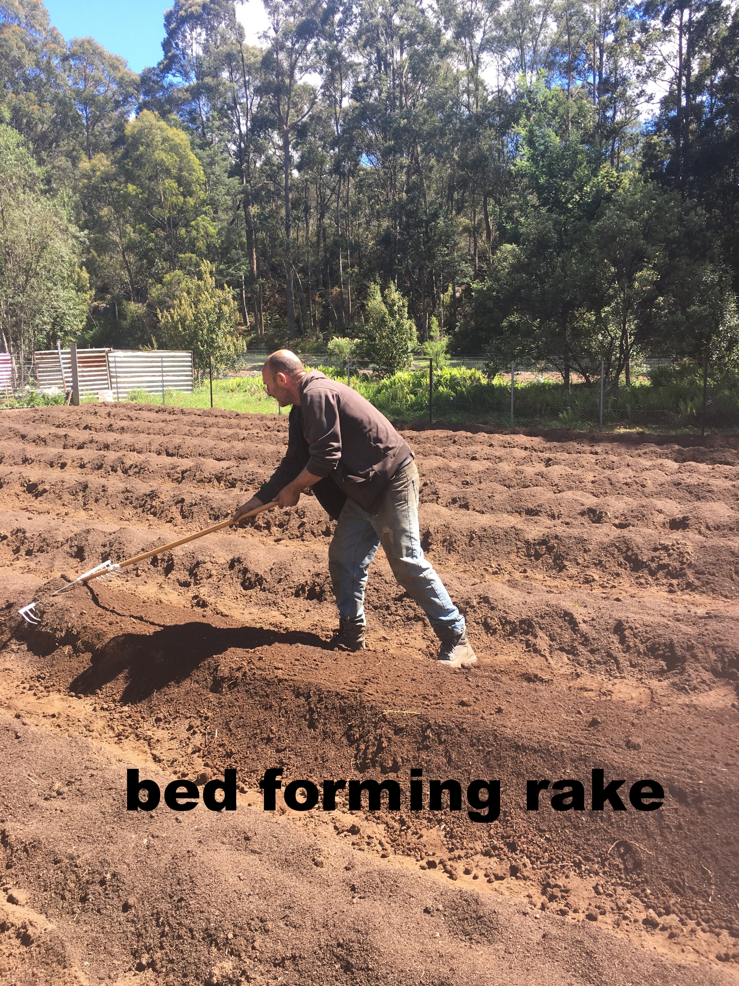  bed forming rake 