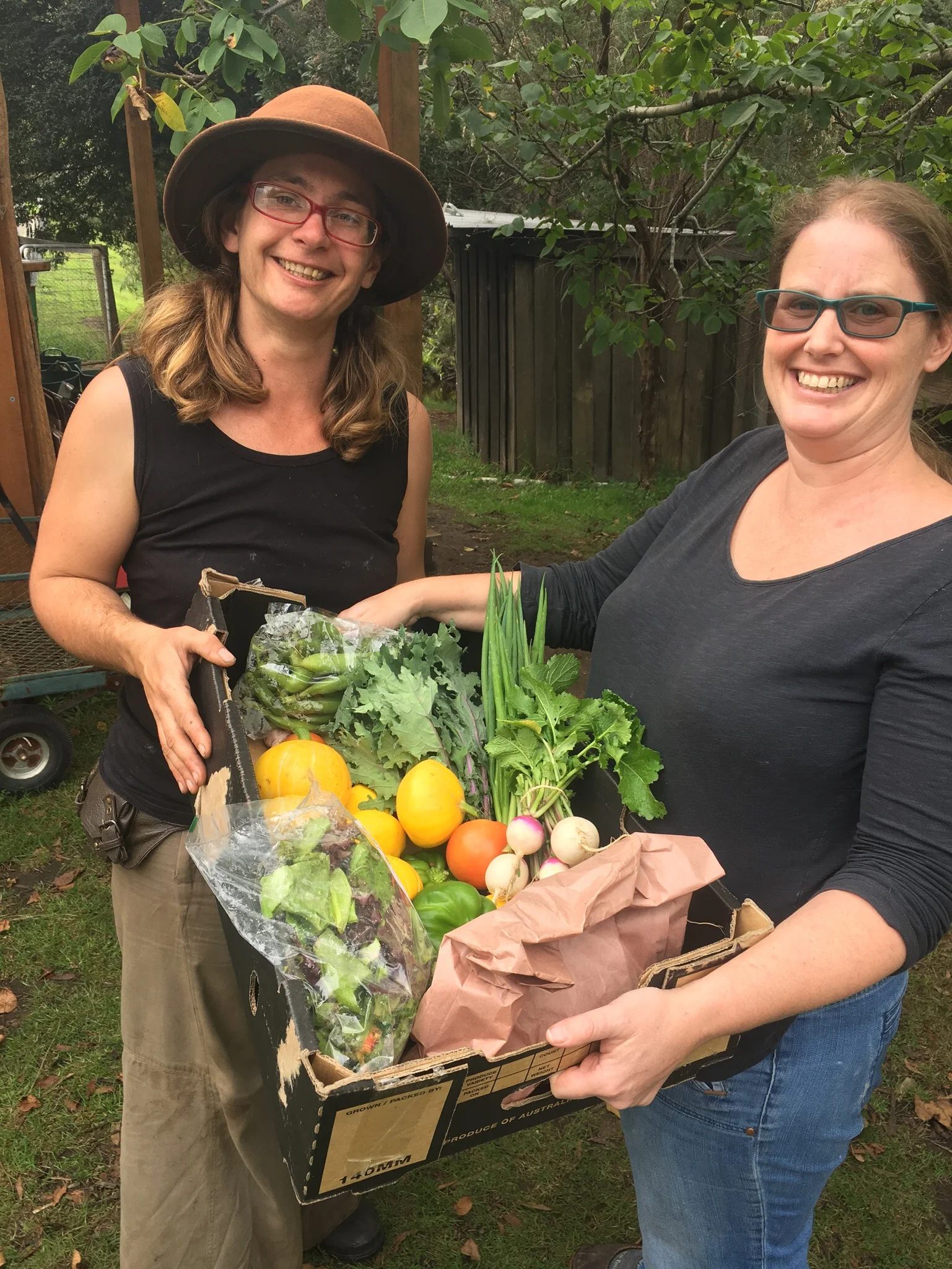 New season certified organic vegie boxes are nearly here.