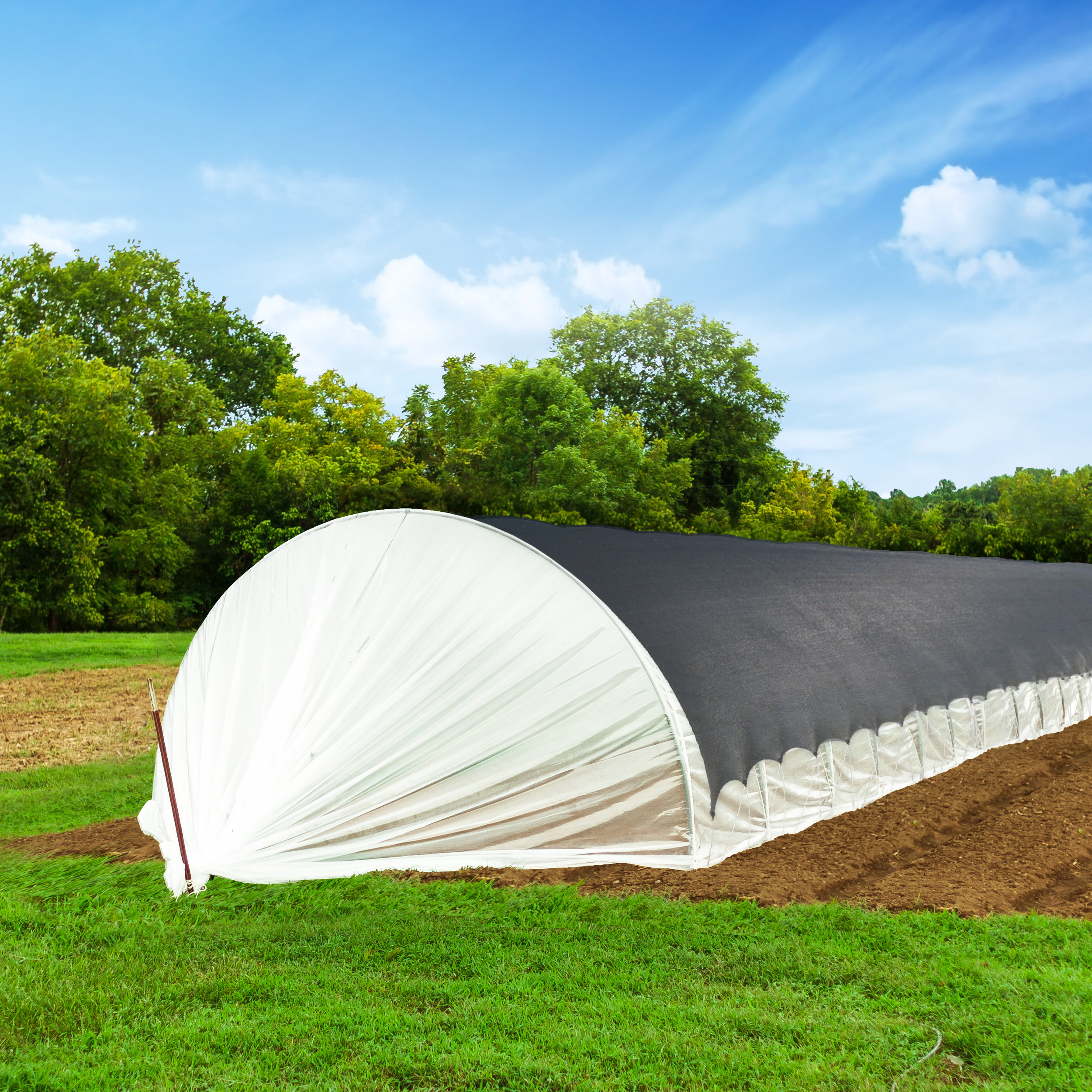 Caterpillar Tunnel_Shade Cloth.jpg