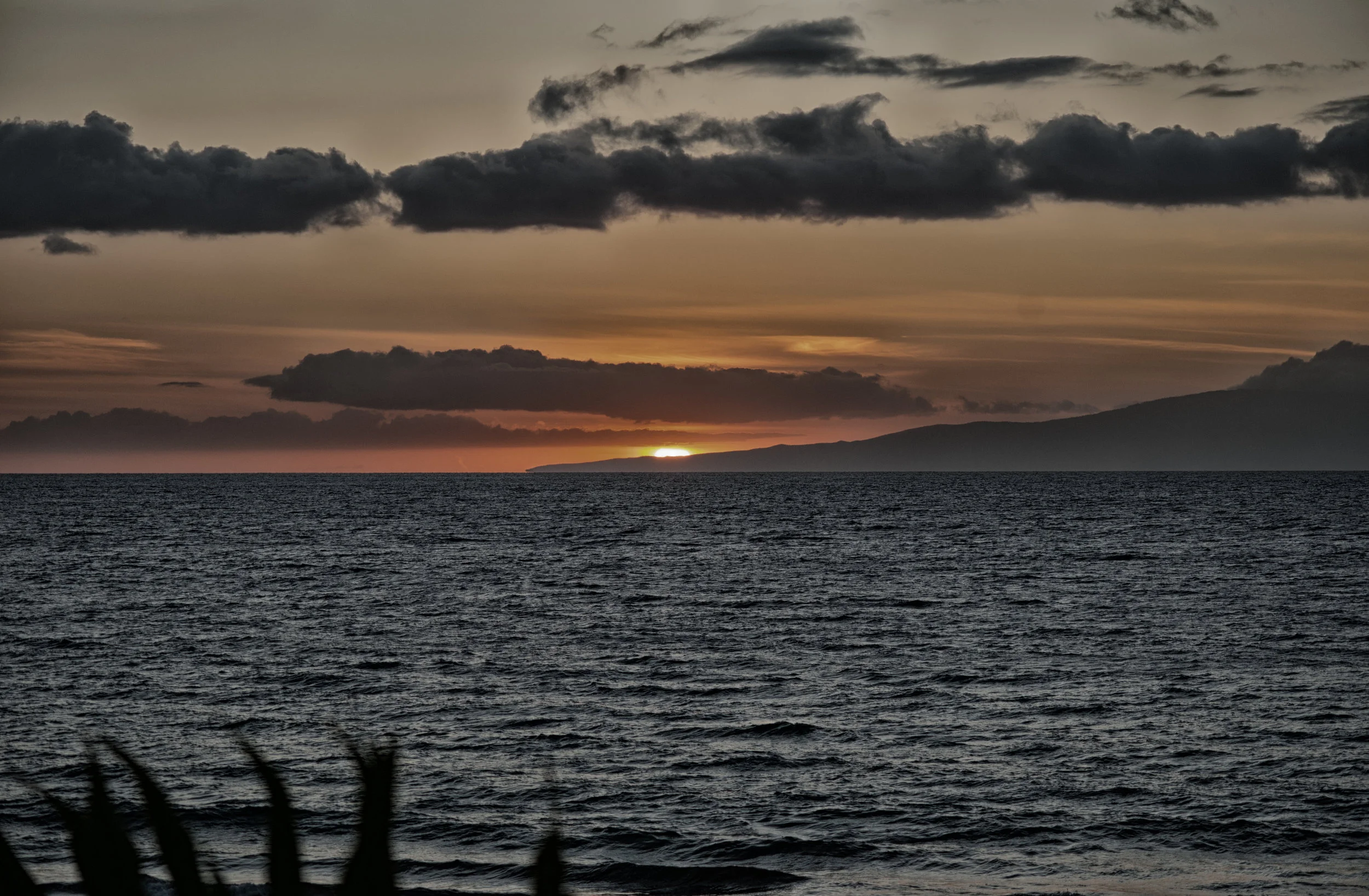 JMP20140410_405-Edit.jpg