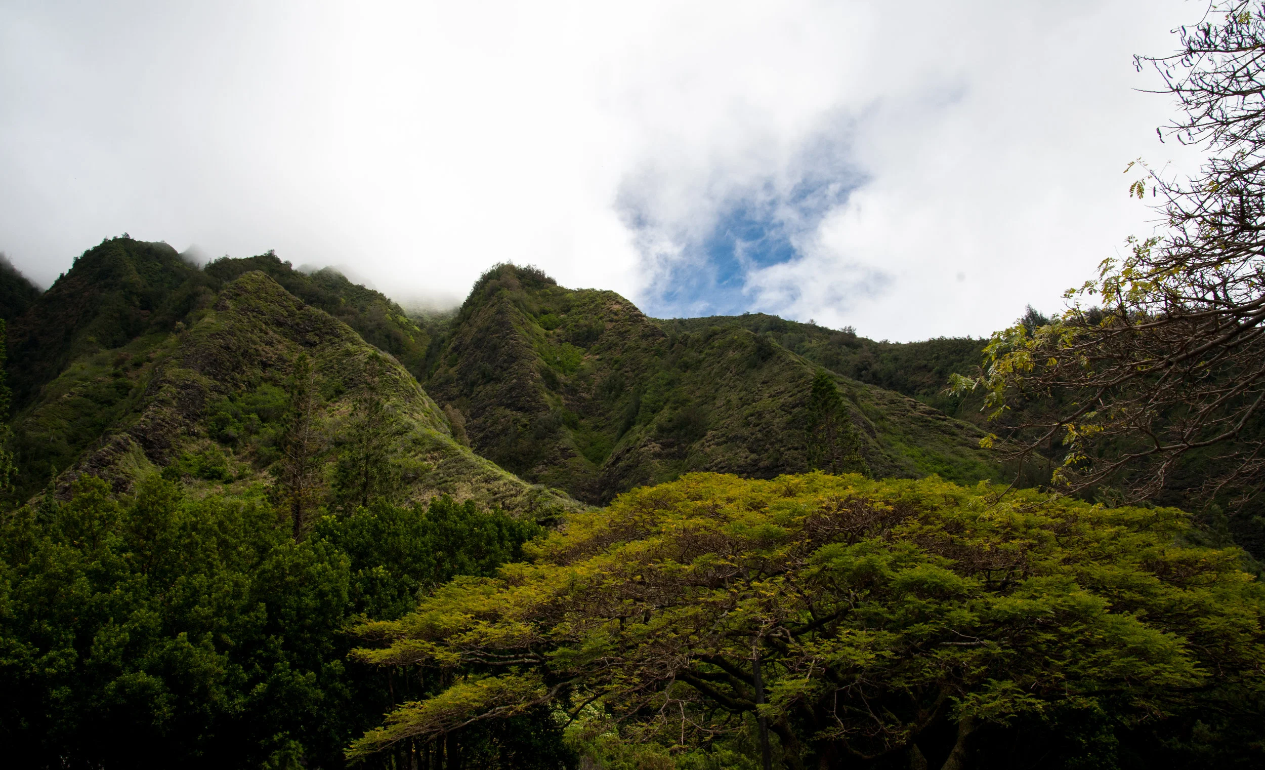 JMP20140412_489.jpg