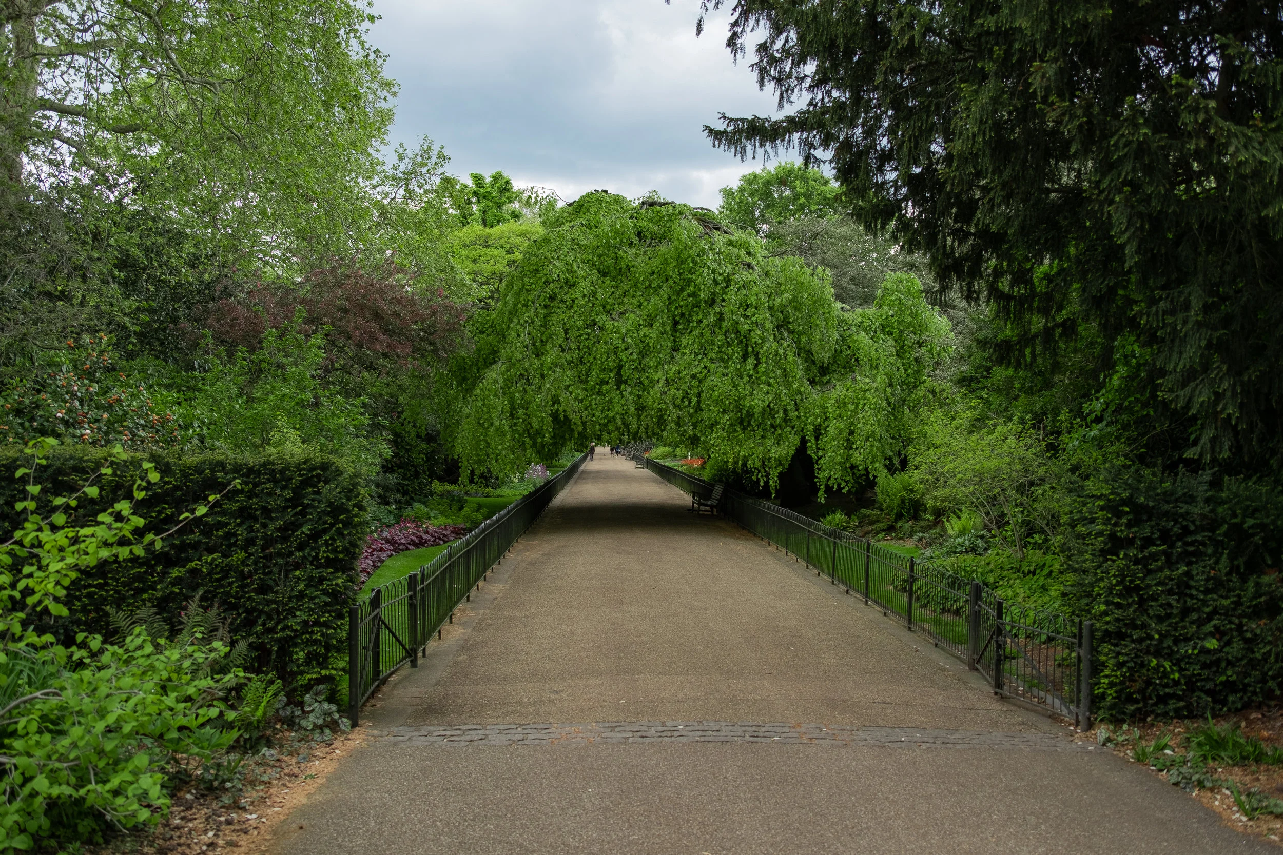 JMP20190502_331.jpg