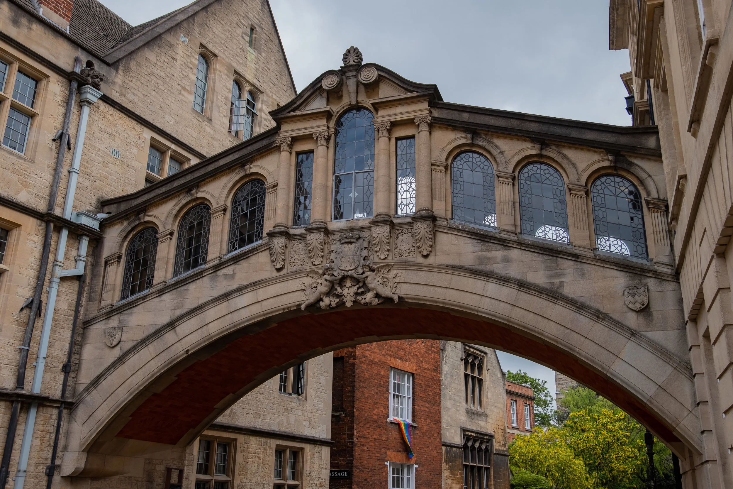 JMP20190503_386.jpg