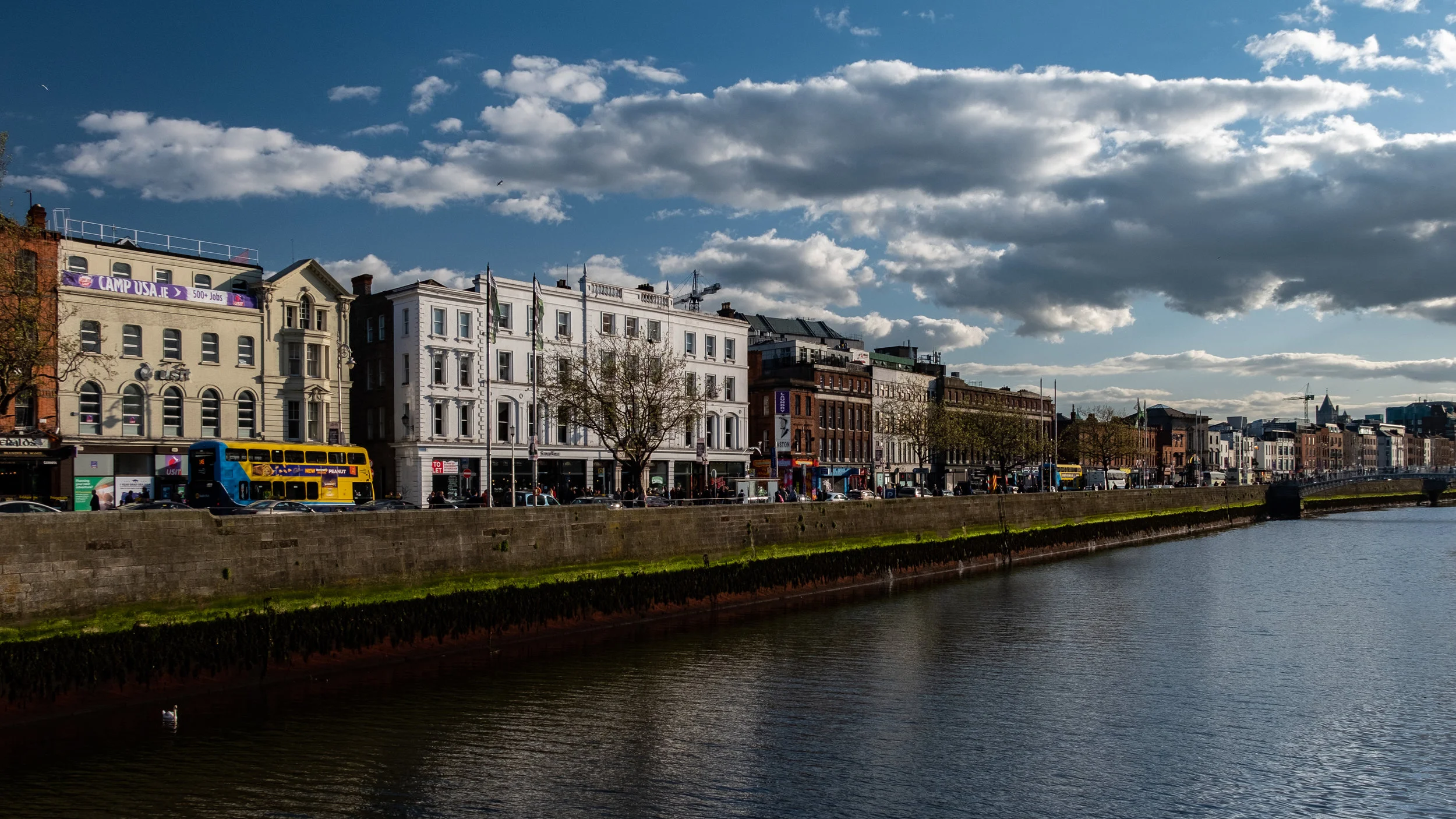 JMP20190504_469.jpg