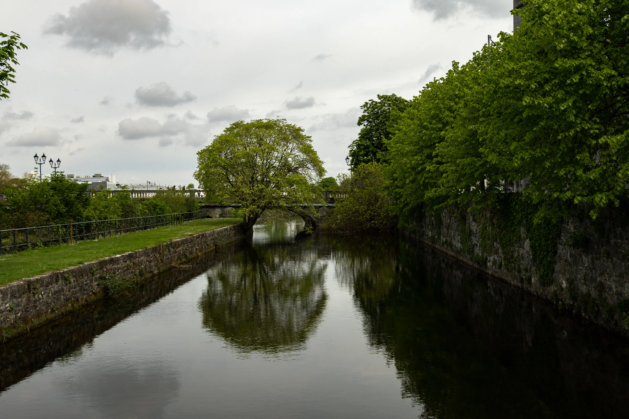 JMP20190507_649.jpg
