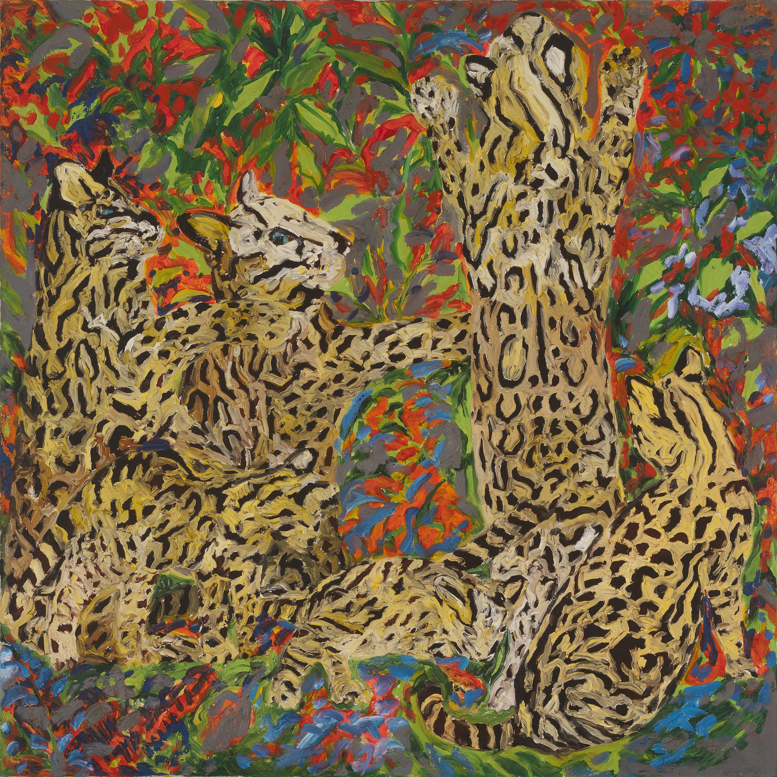  A group of seven ocelots of various sizes and ages playing in a brush of red and blue jungle flowers supplemented by various shades of bright green leaves. 