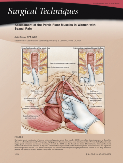 3. Posture and the Pelvic Floor - Well-Being Pelvic Physical Therapy