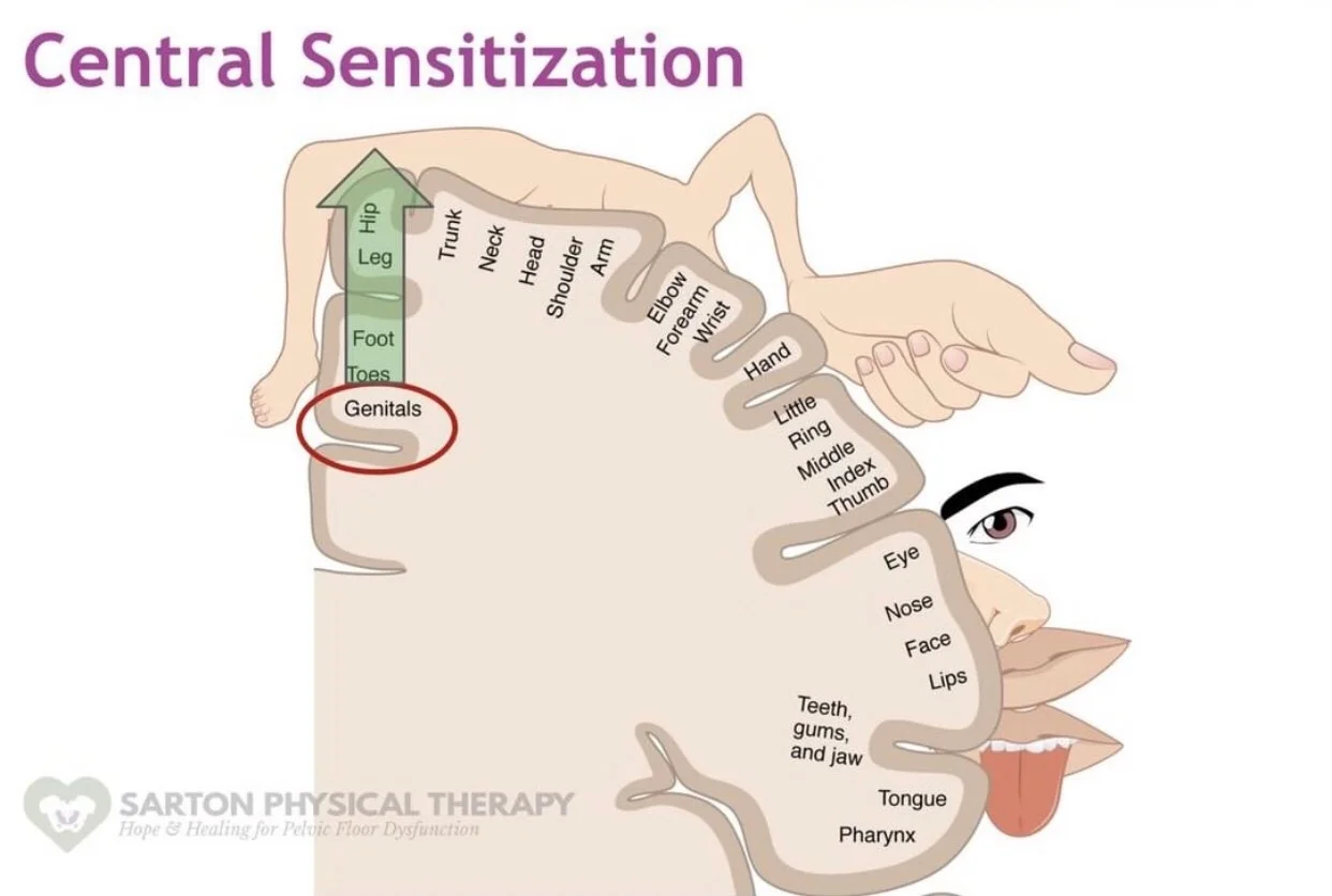 How to Pinpoint the True Source and Triggers of Your Pain