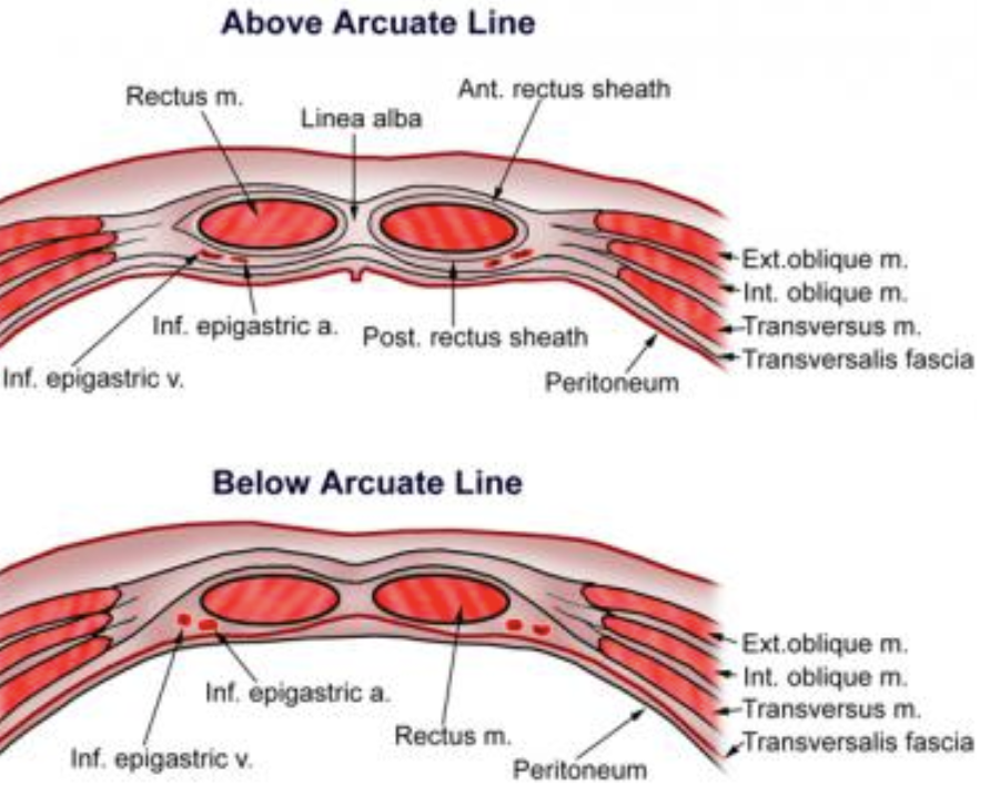 Scar Tissue and Adhesion Treatment