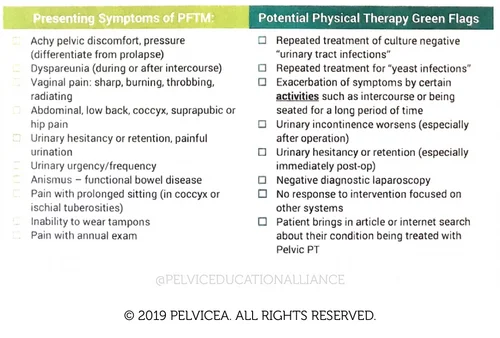 Where Is Your Pain Really Coming From Uncovering The Pelvic Floor