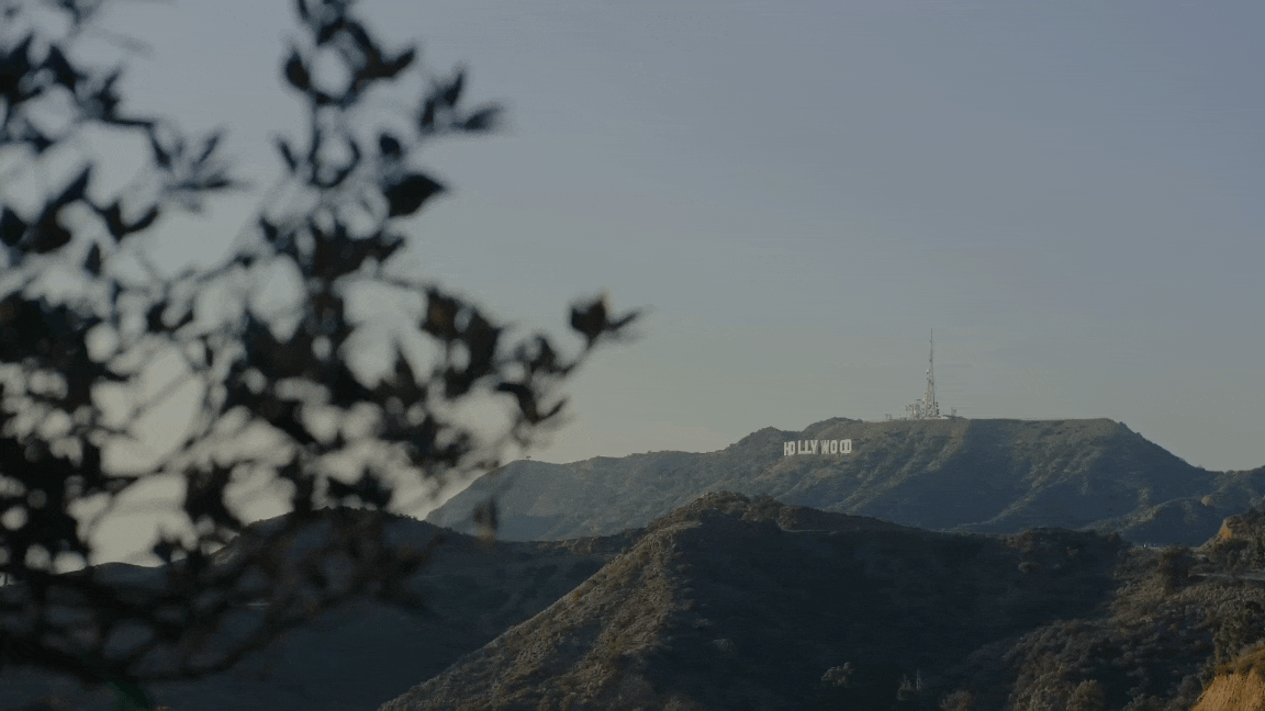PROSPECT HOLLYWOOD BY MARTYN LAWRENCE BULLARD