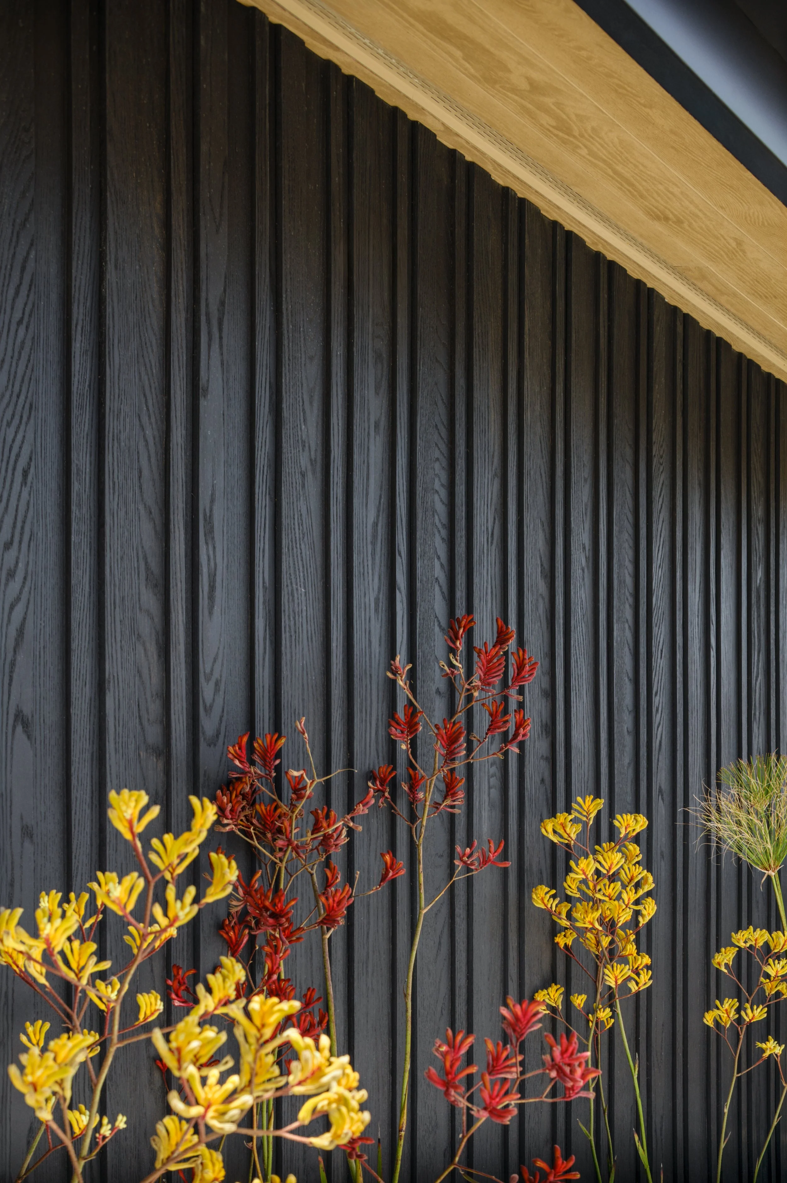 Millboard Oxnard ArturoLauren 7.jpg