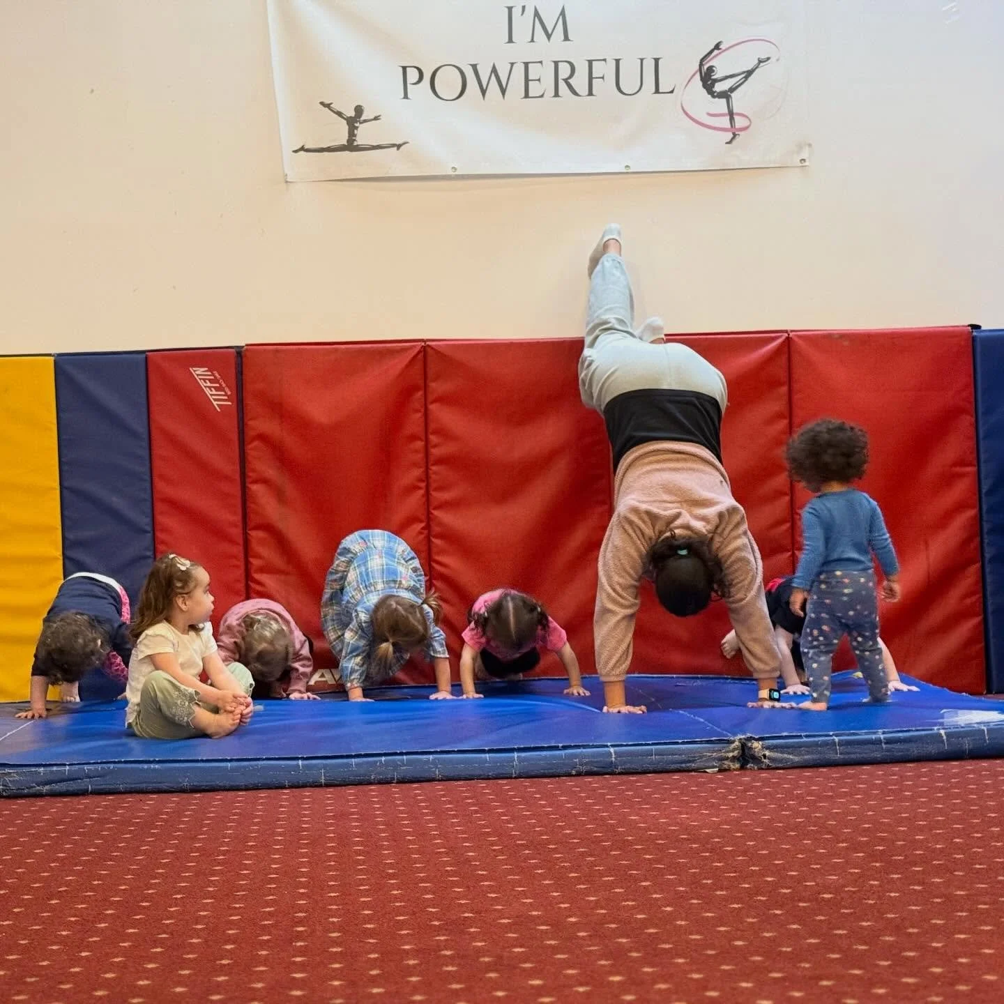 Ladies and Gentlemen, &ldquo;HANDSTANDS&rdquo; 👏 👏