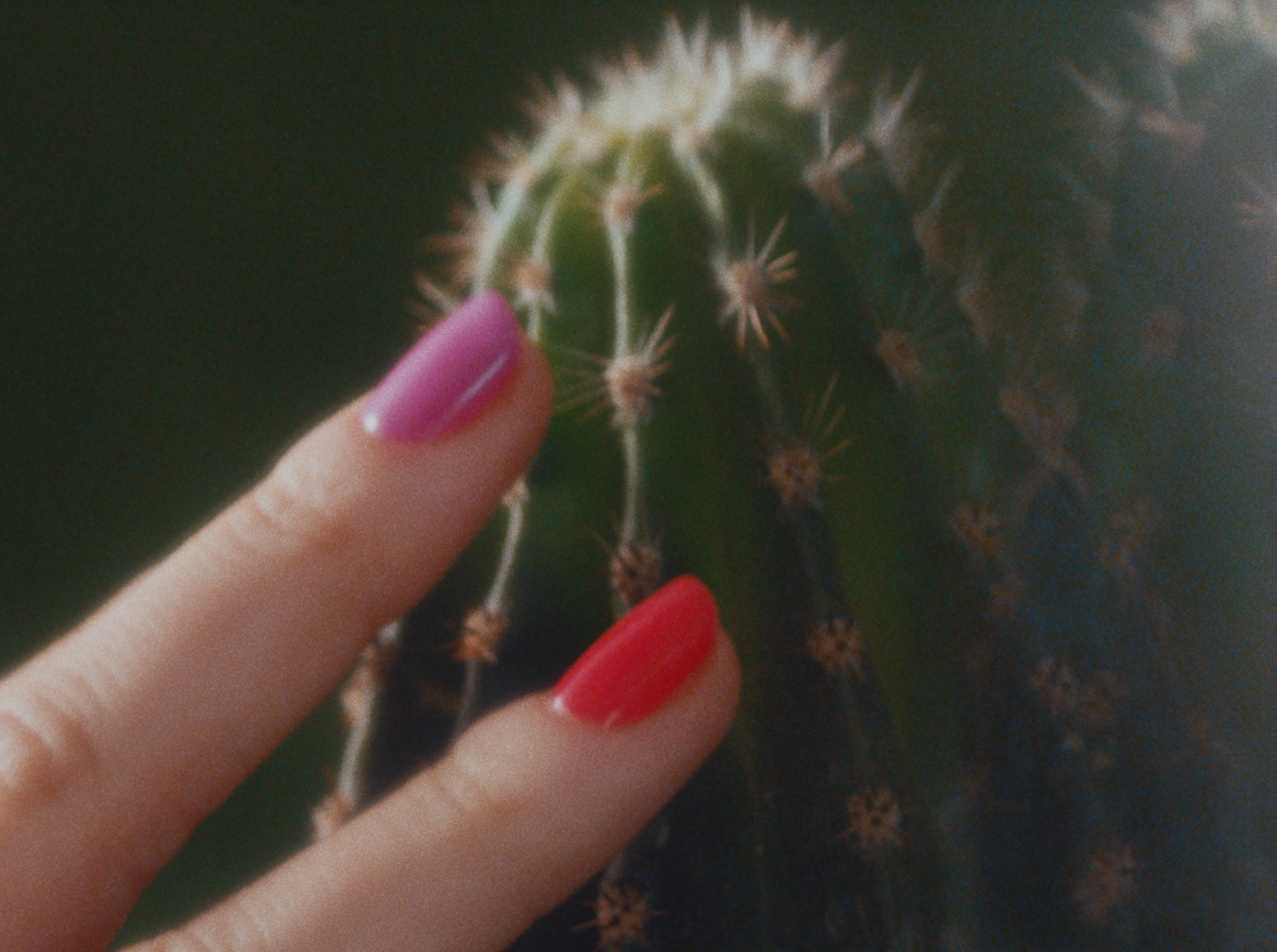 Screen Shot 2018-07-26 at 4.11.09 PM.png