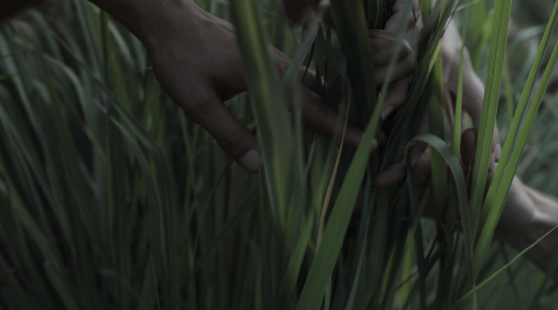 Screen Shot 2019-09-24 at 6.59.45 PM.png