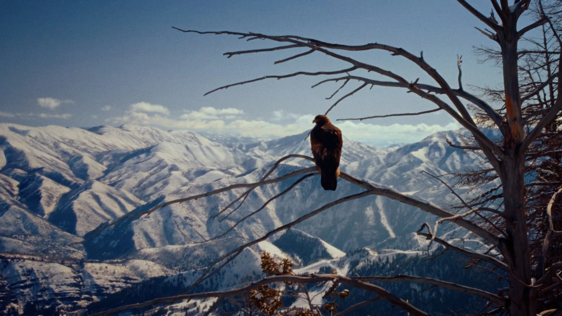 HOKA__FlyHumanFly.mov.01_00_30_00.Still004.jpg