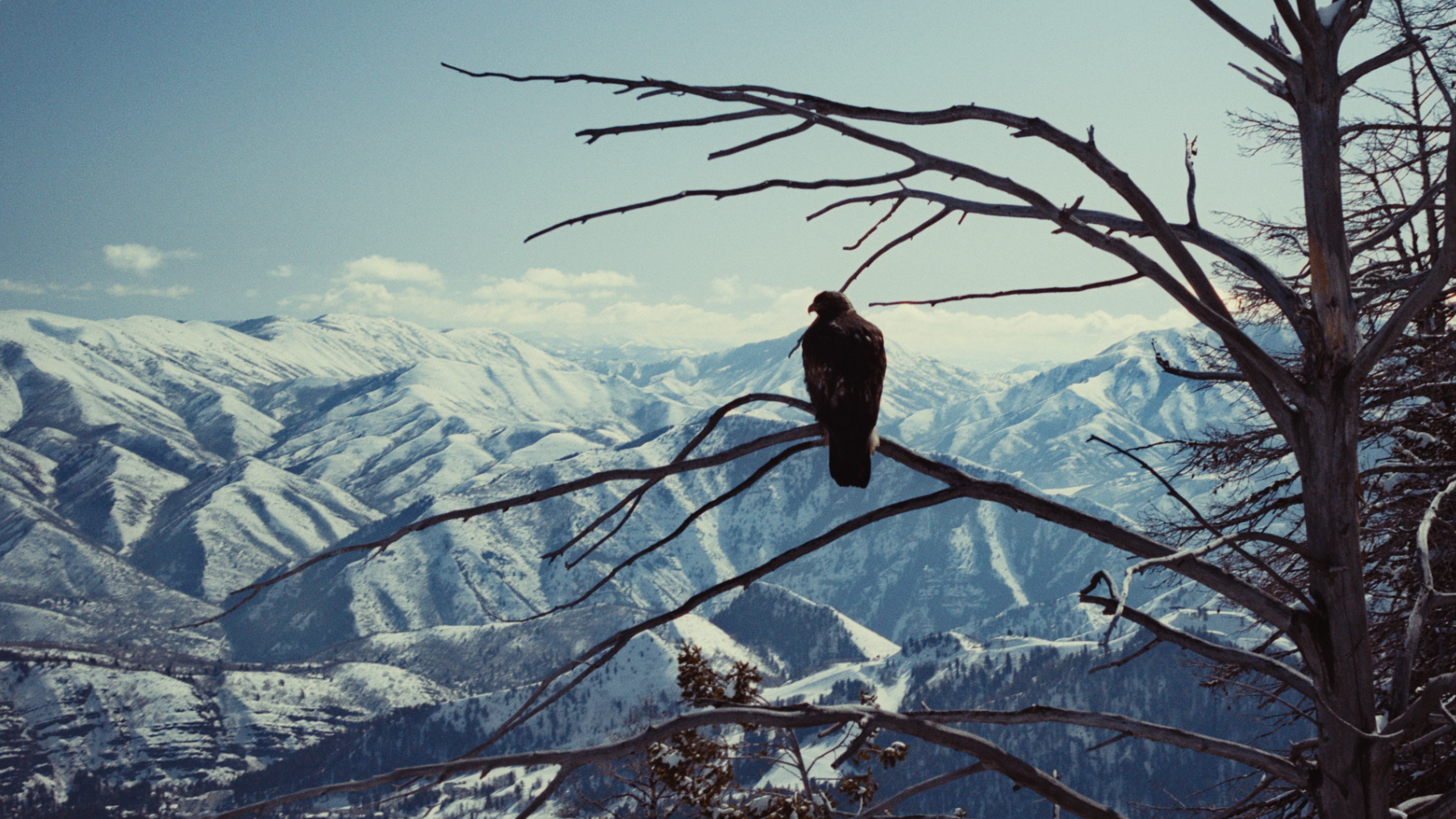 Screen Shot 2026-02-16 at 9.48.58 PM.png